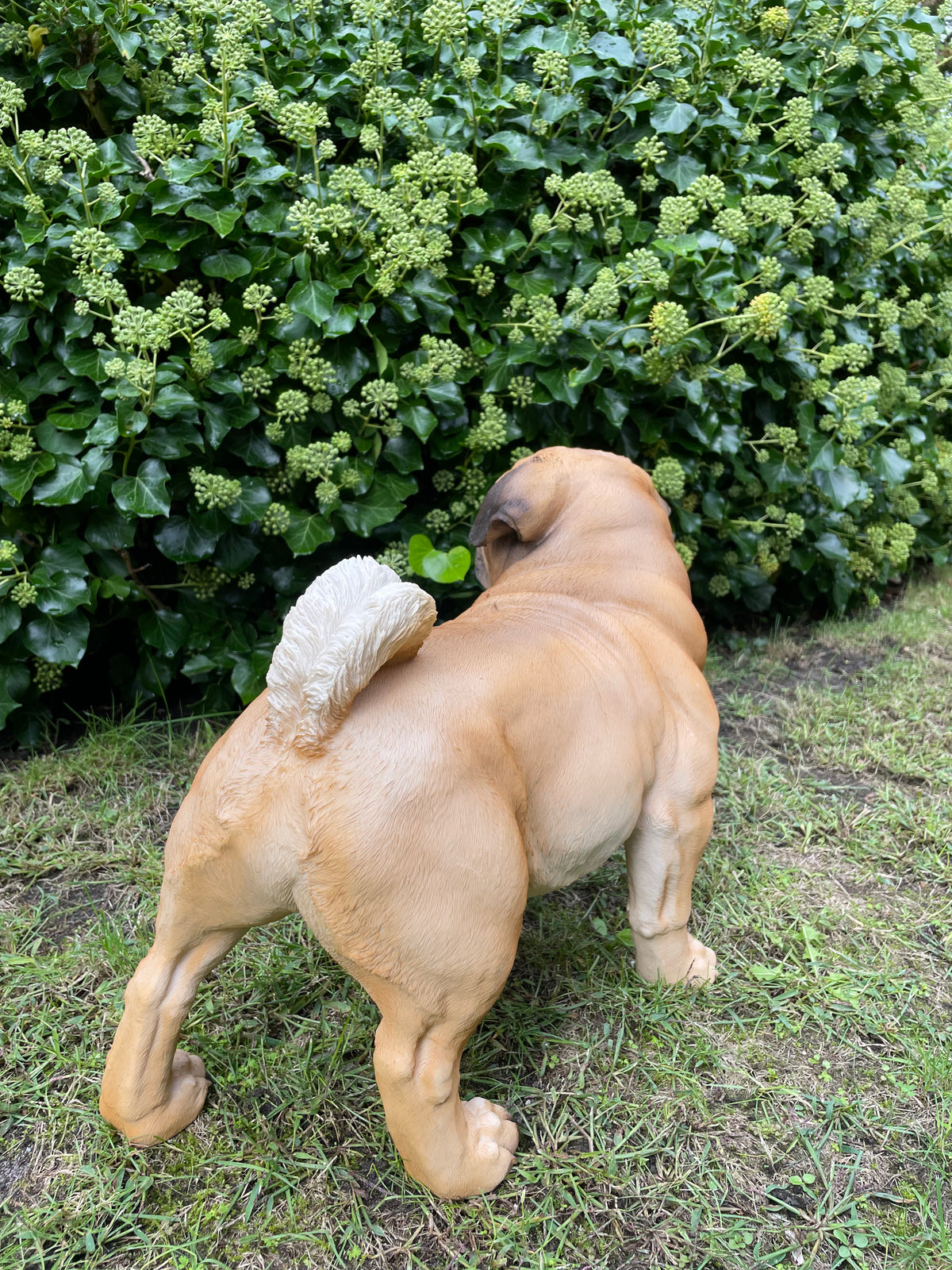 Mops hondje staand 50cm