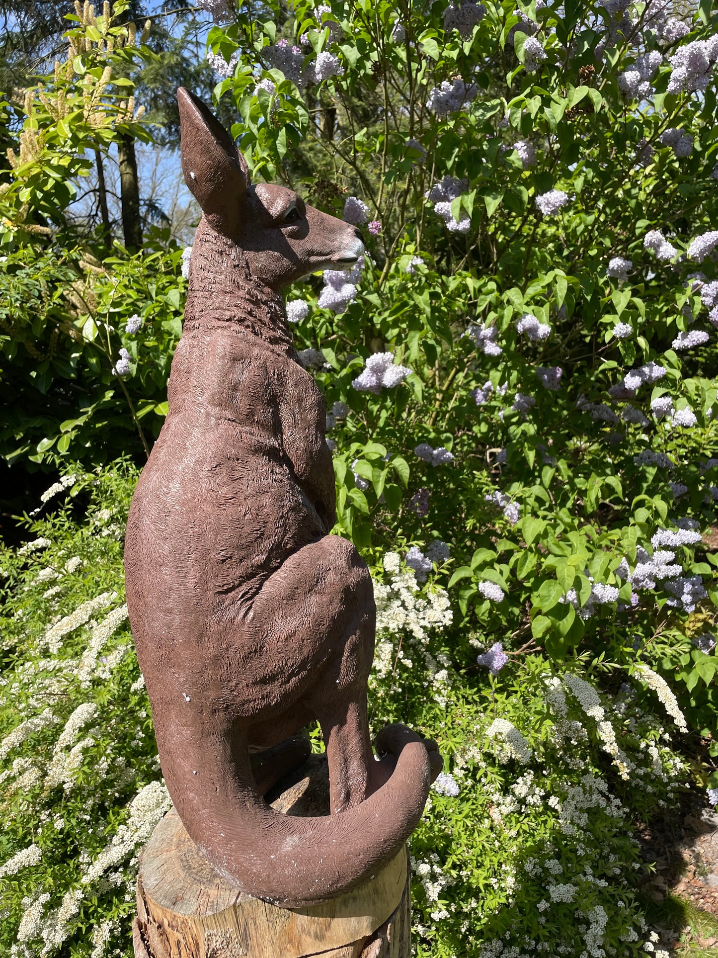 Beeld Kangoeroe klein tuin, vijver, boerderij, dierentuin 55cm