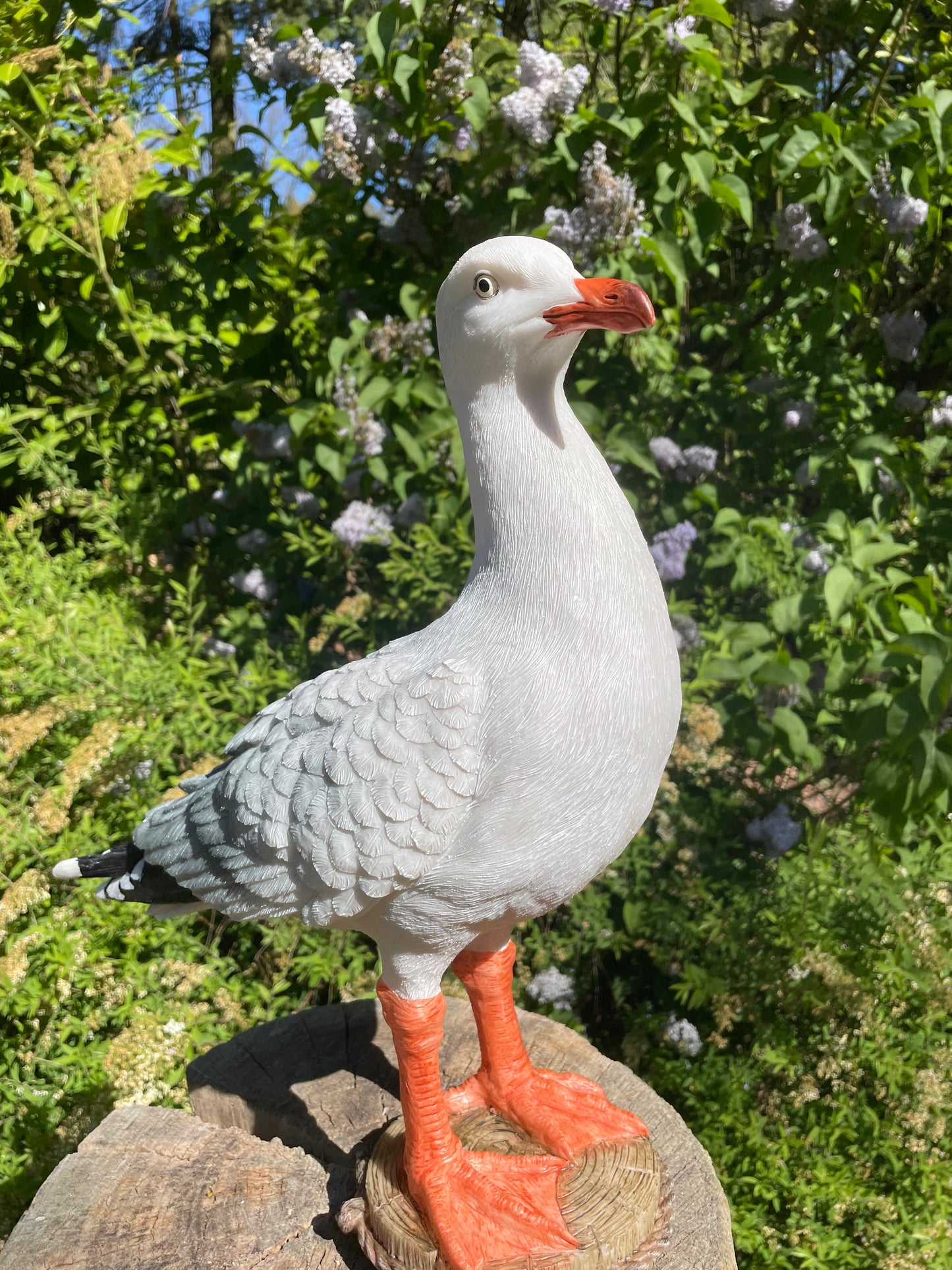 Meeuw, vogel, tuin, boerderij, vijver, zee 30cm