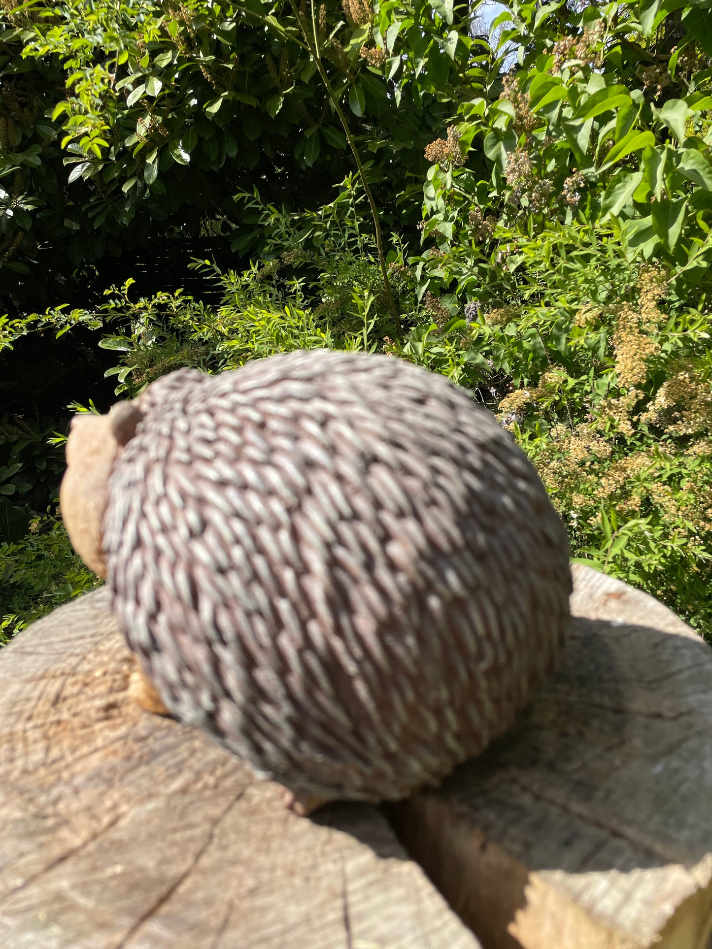 Beeld egel, tuin, gazon, boerderij 20cm
