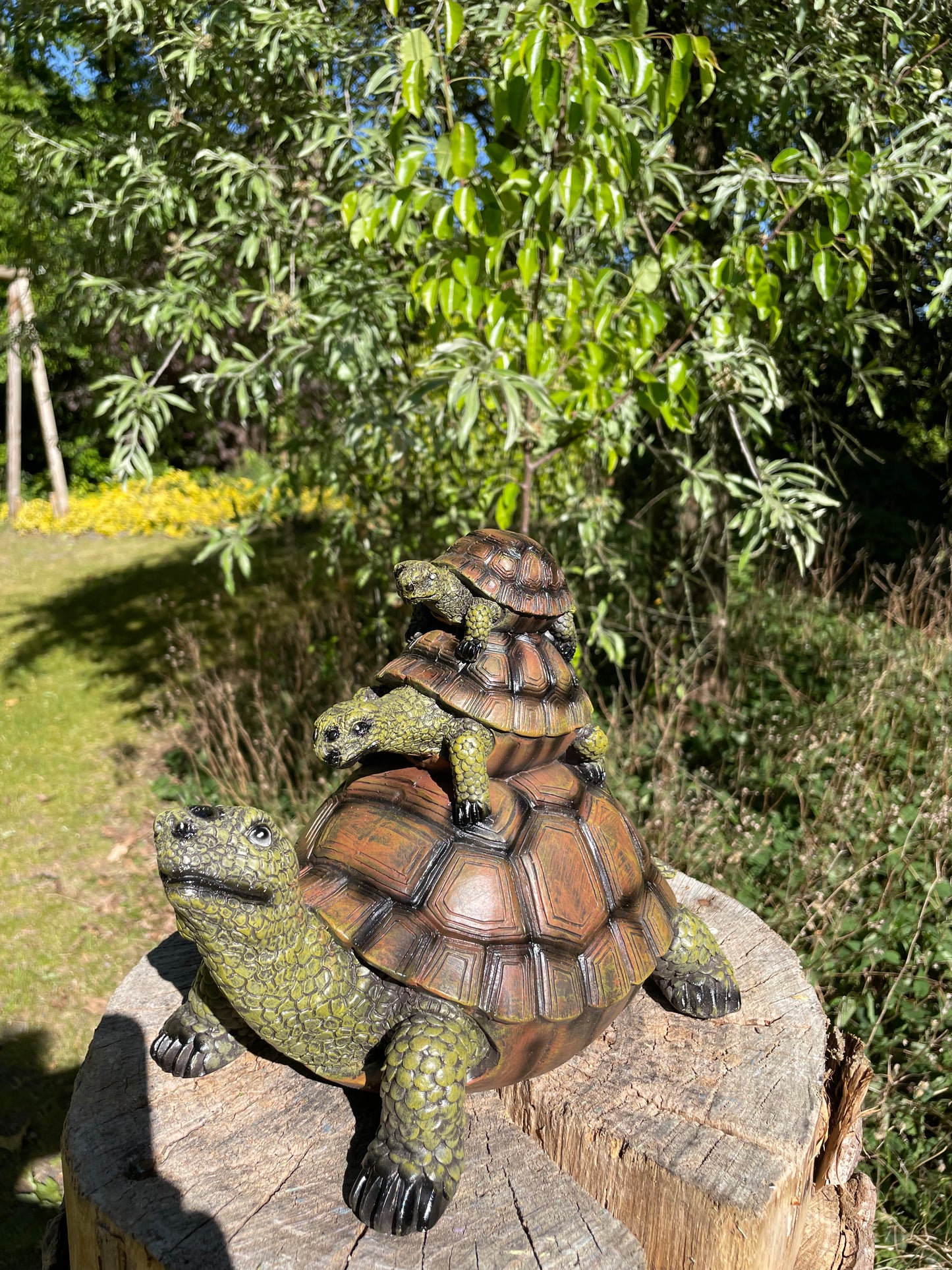 Baby 2x schildpad, gazon, tuin, vijver, 30 cm