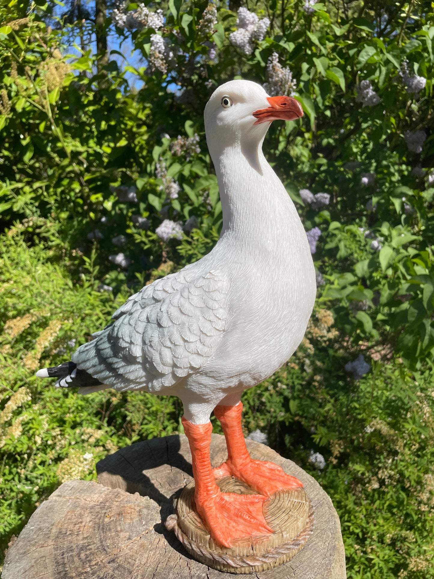 Meeuw, vogel, tuin, boerderij, vijver, zee 30cm