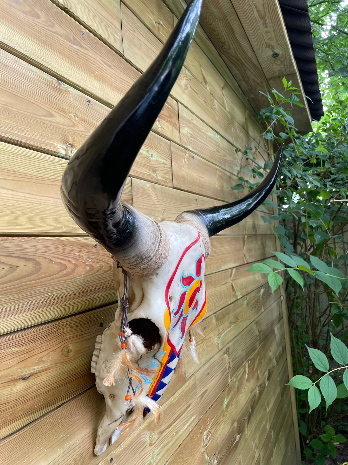 Wand buffelschedel Indiana , woonkamer, cowboy 65cm