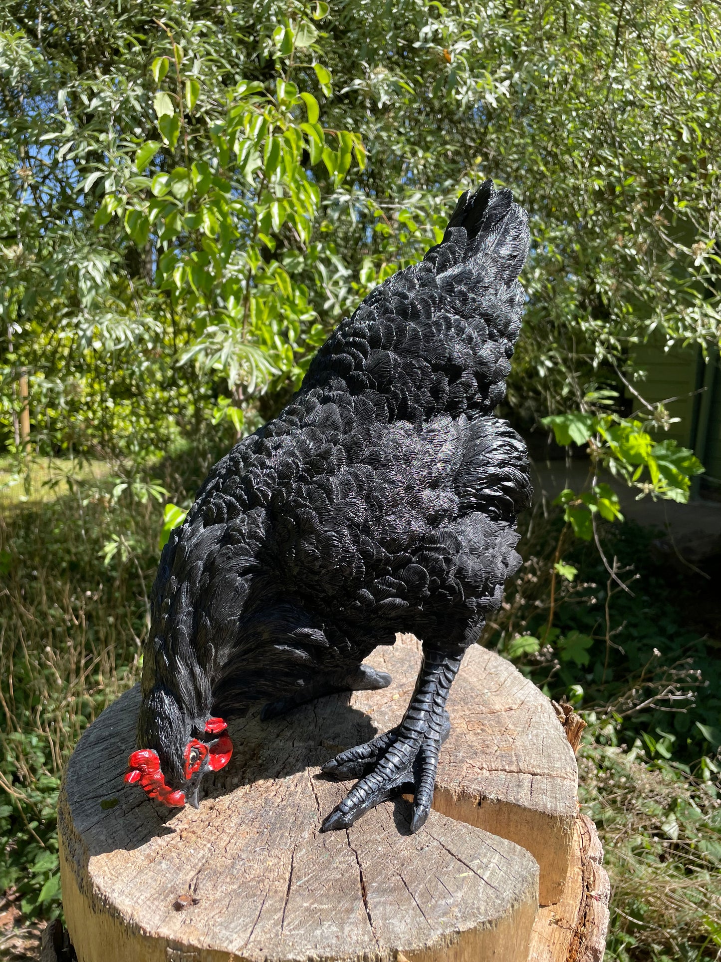 Beeld kip, zwart, tuin, vijver, gazon, boerderij 35cm