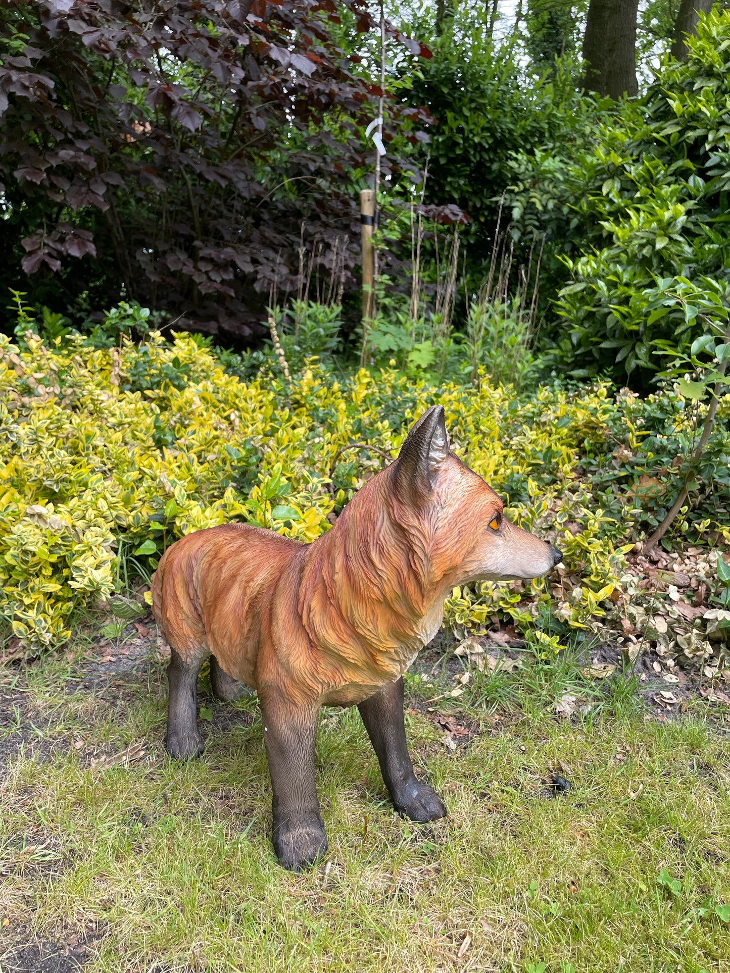 Tuinbeeld vos lopend gazon, tuin, dierentuin, 70 cm