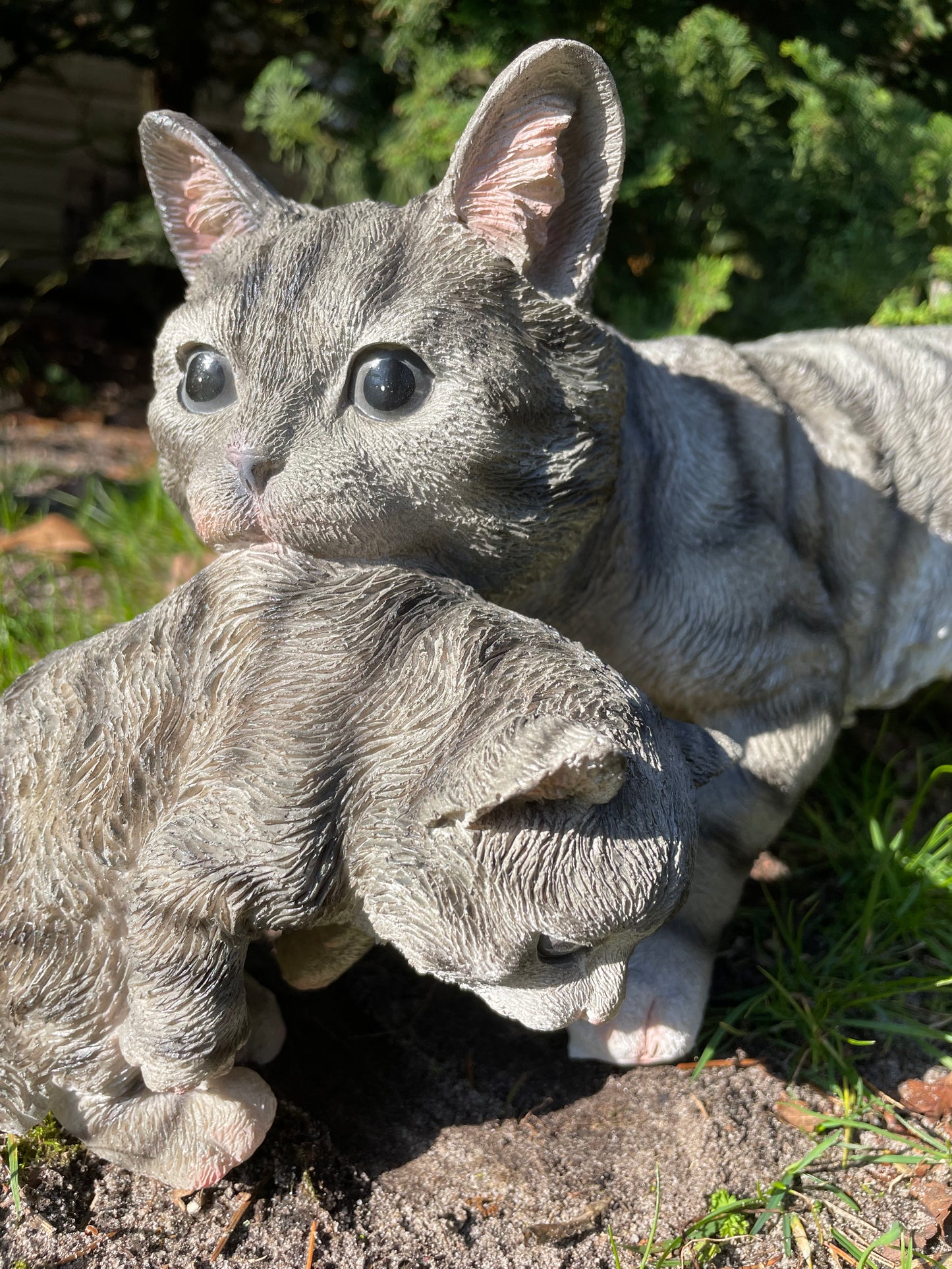 Poes, kat, tuin, gazon, kitten, boerderij 50cm