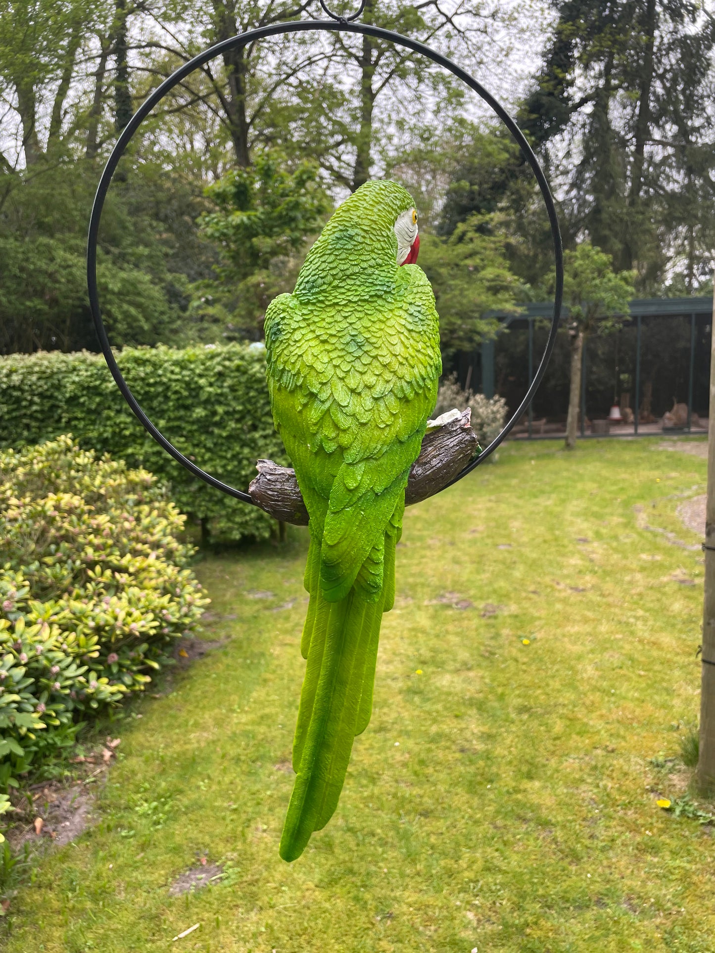 Beeld papegaai Groen, zwembad, vijver, tuin, balkon 50cm