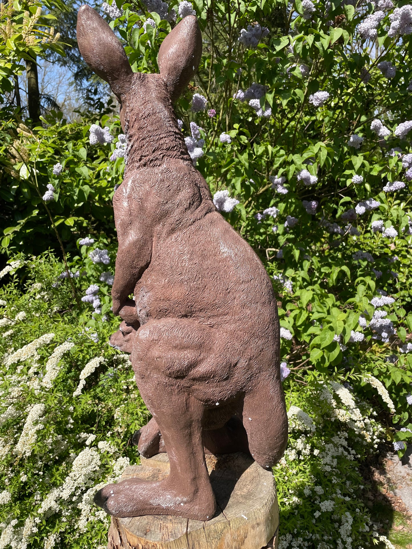 Beeld Kangoeroe klein tuin, vijver, boerderij, dierentuin 55cm