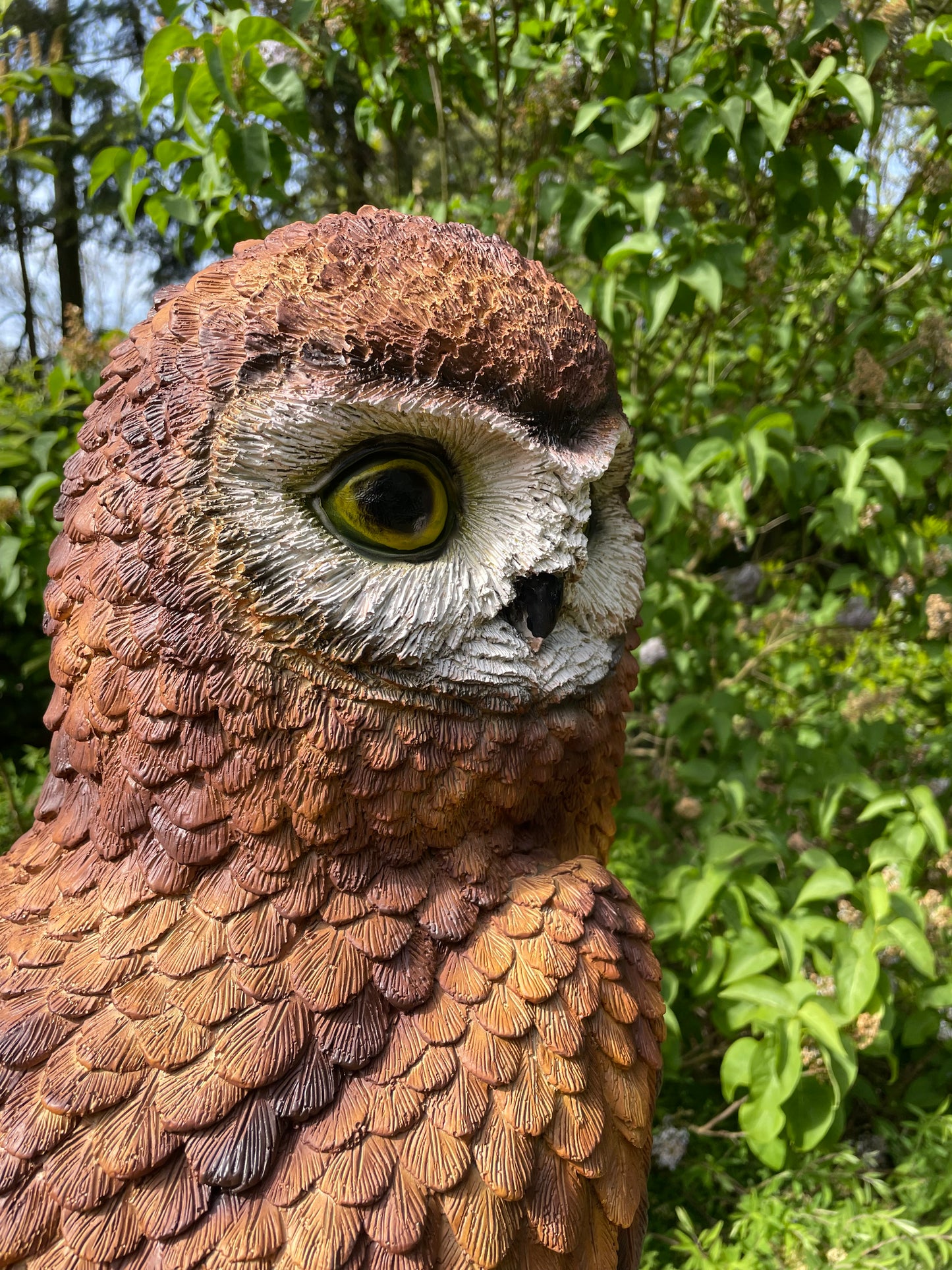 Beeld Bruine uil, boomstronk, tuin, gazon, dierentuin 80cm