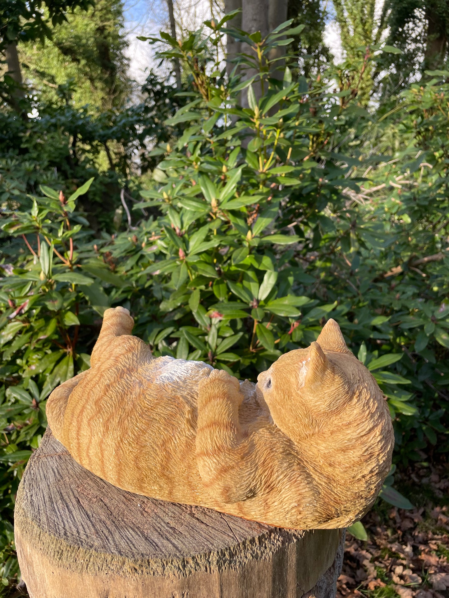 Poes, kat, liggend bruin 40cm