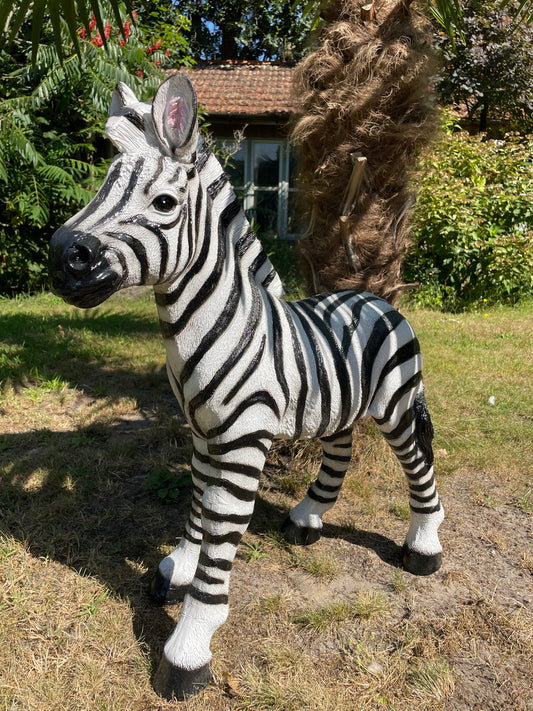 Beeld zebra, tuin, zwembad, vijver, woonkamer 70cm