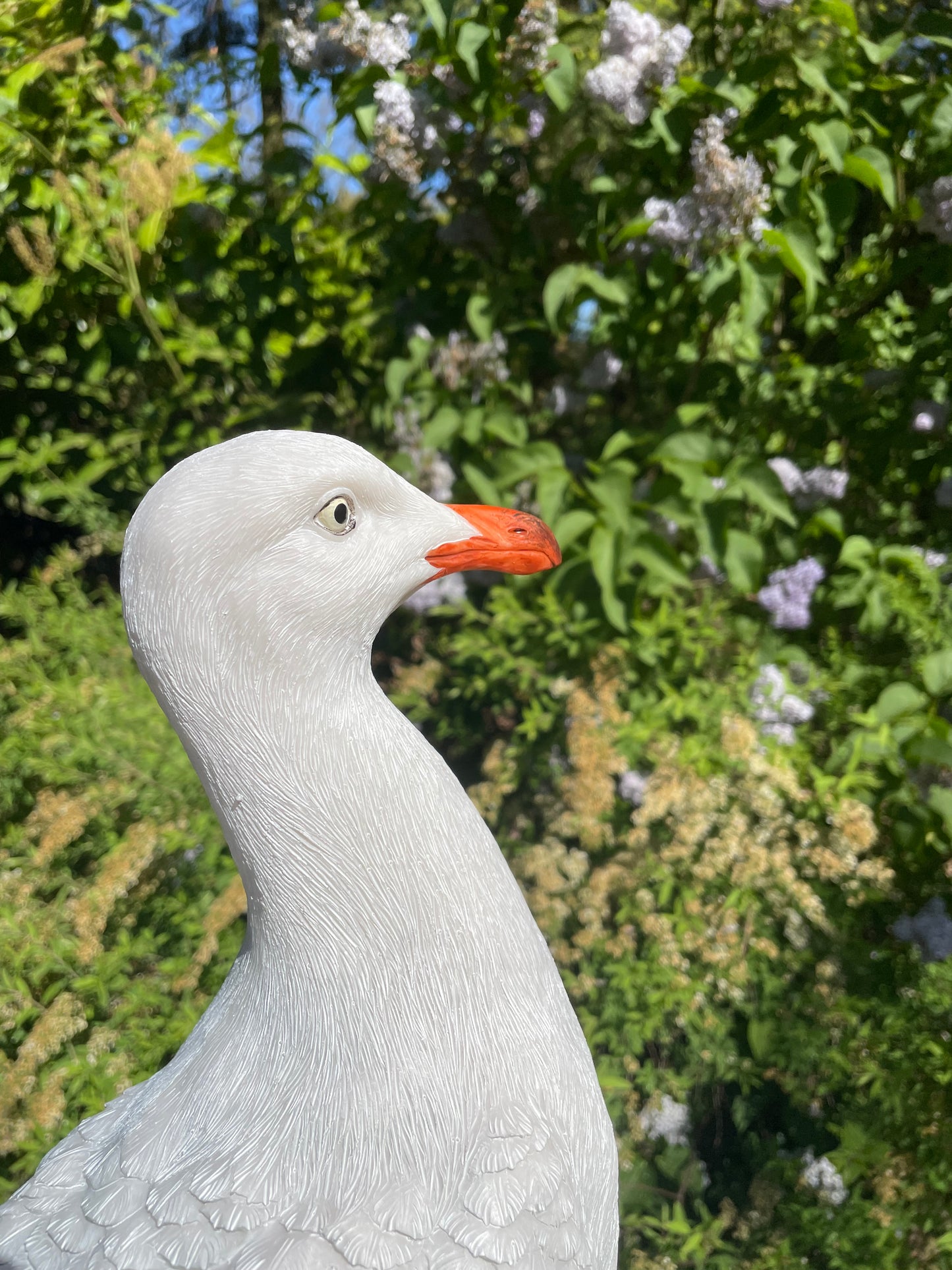 Meeuw, vogel, tuin, boerderij, vijver, zee 30cm