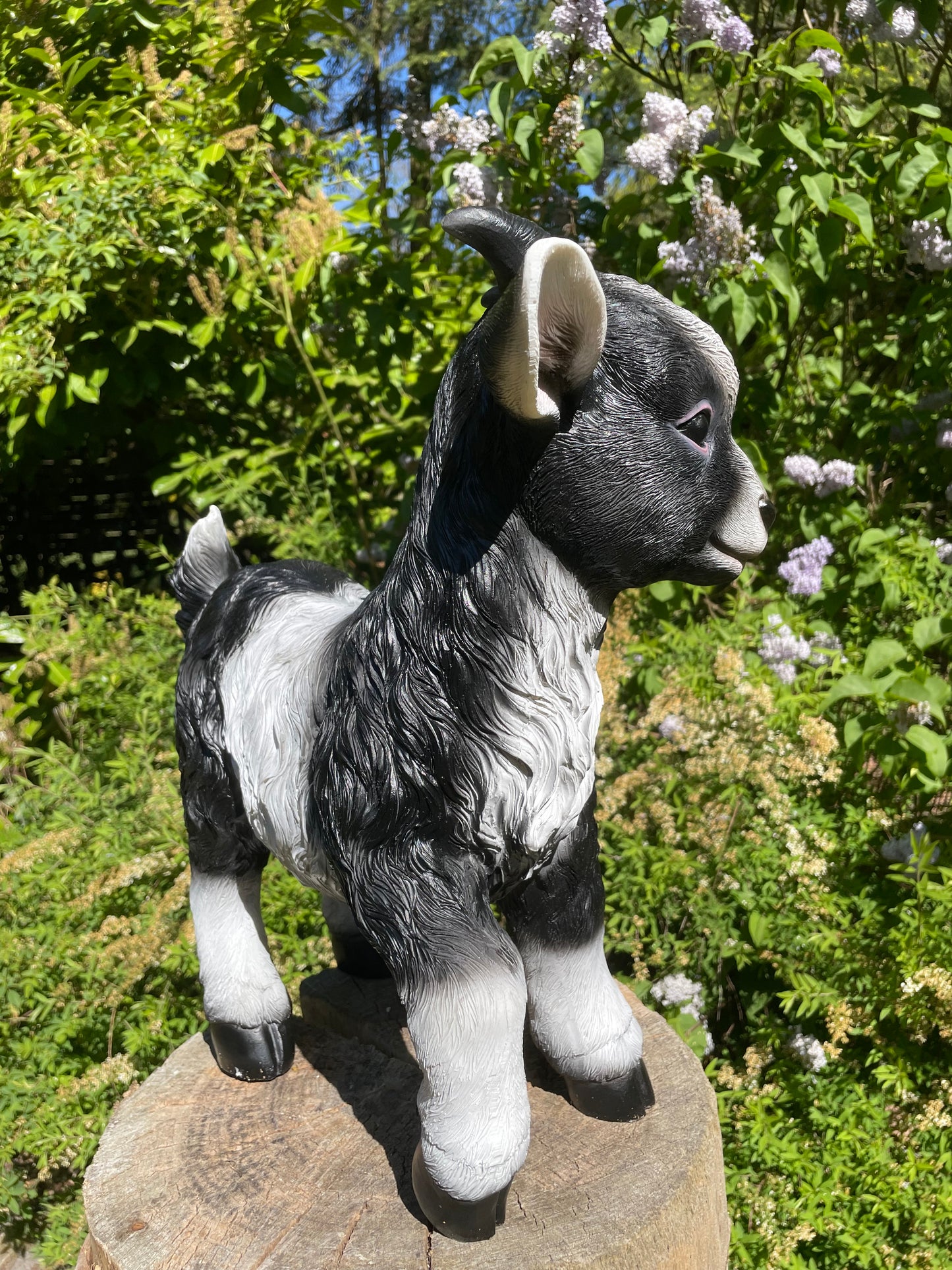 Geitjes, zwart/wit, tuin, boerderij, dierentuin 45cm
