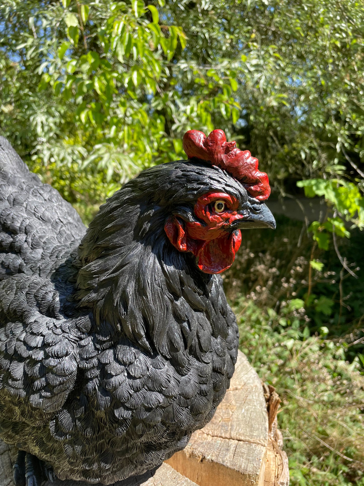 Beeld kip, zwart groot tuin, vijver, gazon, boerderij 40cm