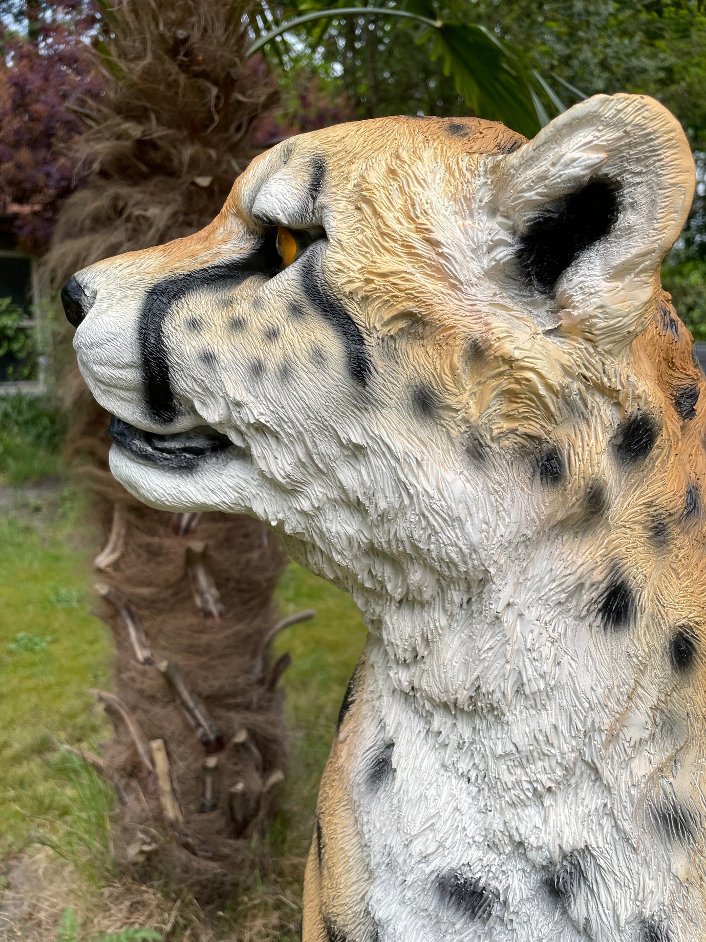 Tuinbeeld cheeta zittend gazon, tuin, dierentuin, 95 cm