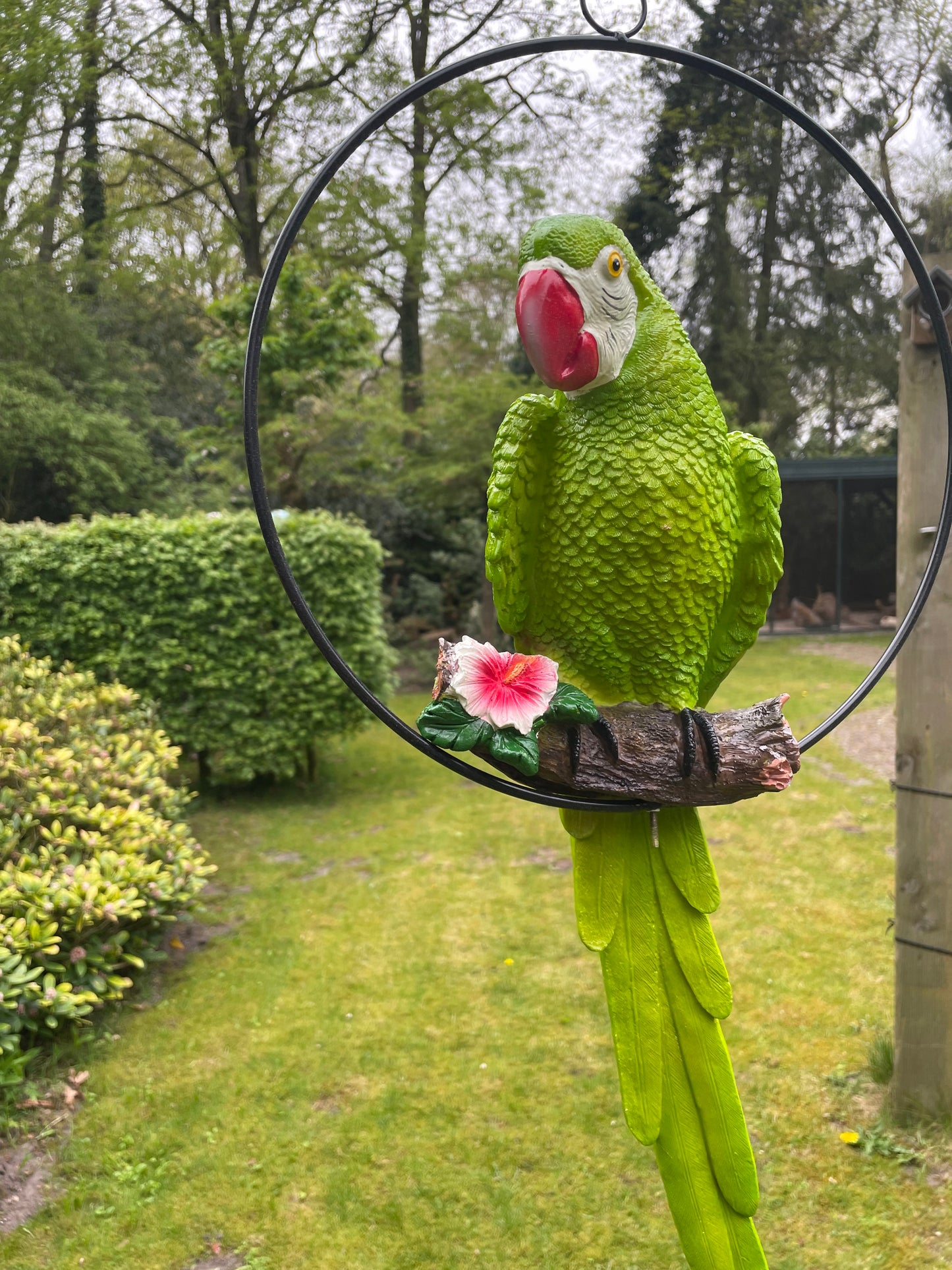 Beeld papegaai Groen, zwembad, vijver, tuin, balkon 50cm