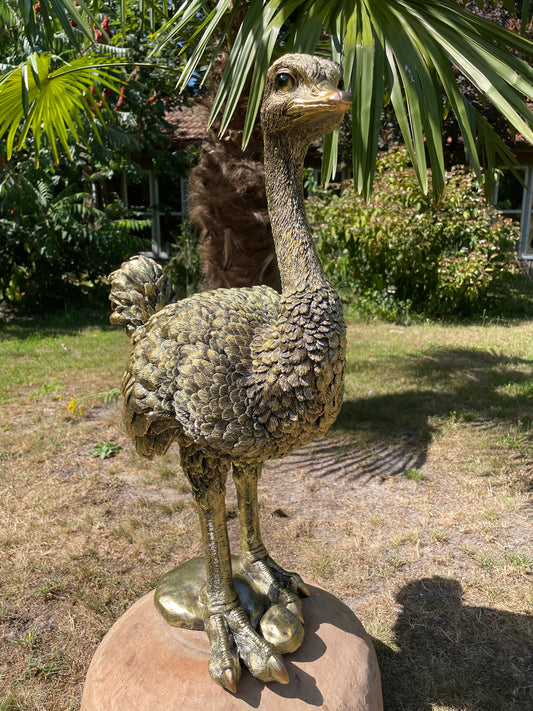 Beeld Struisvogel middel, gazon, tuin, dierentuin 70cm