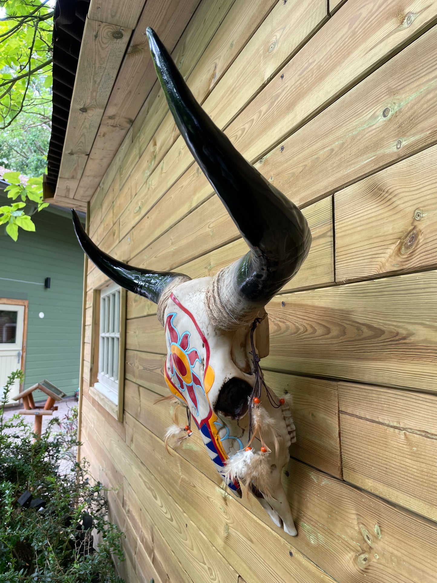 Wand buffelschedel Indiana , woonkamer, cowboy 65cm
