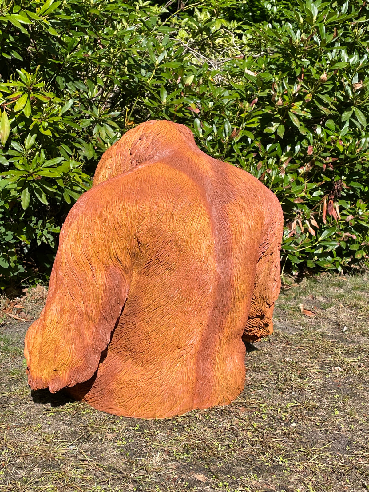 Orang Oetan  tuin, zwembad, vijver 80cm