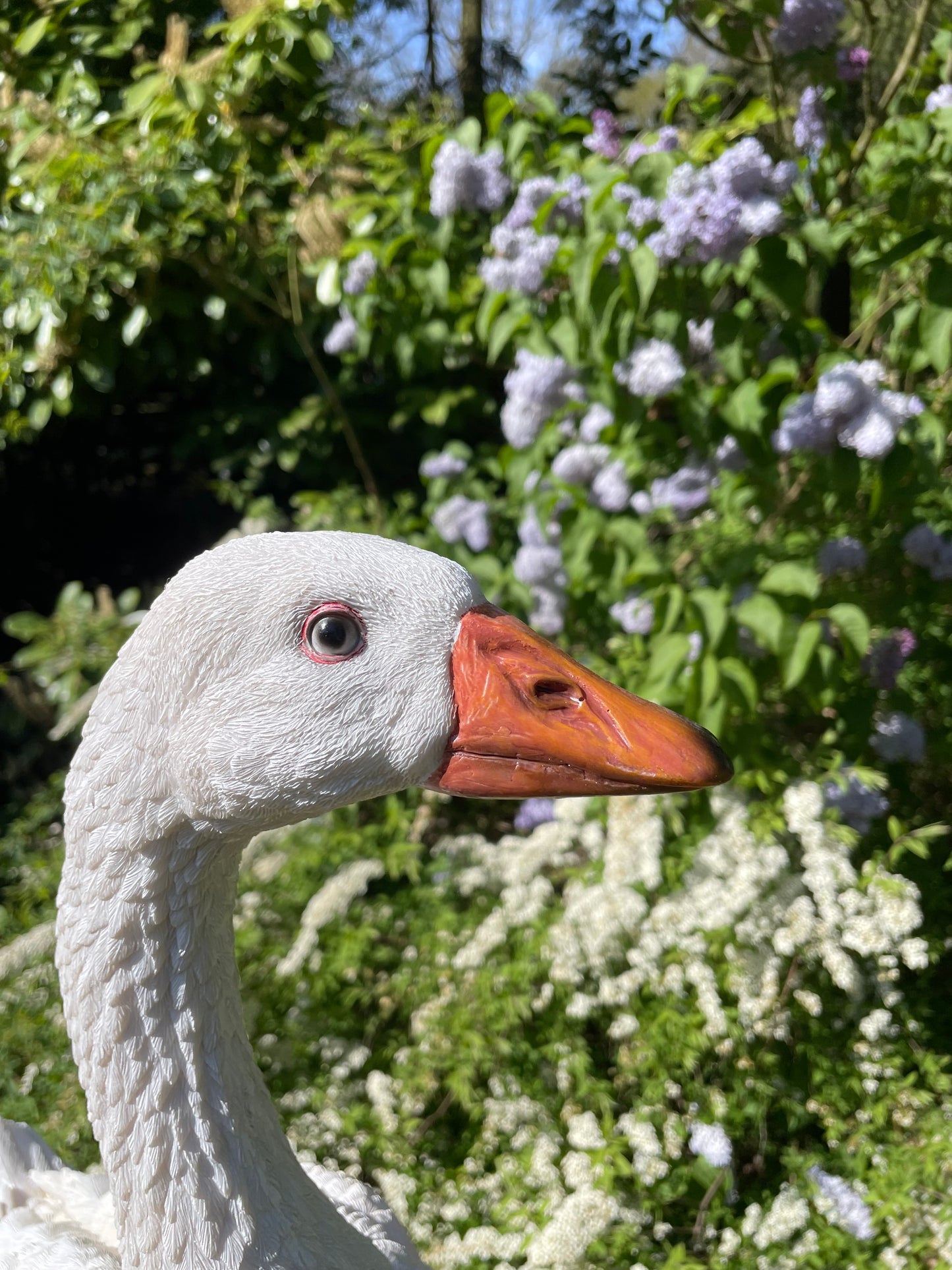 Beeld Gans wit, tuin, zwembad, vijver, boerderij 60cm