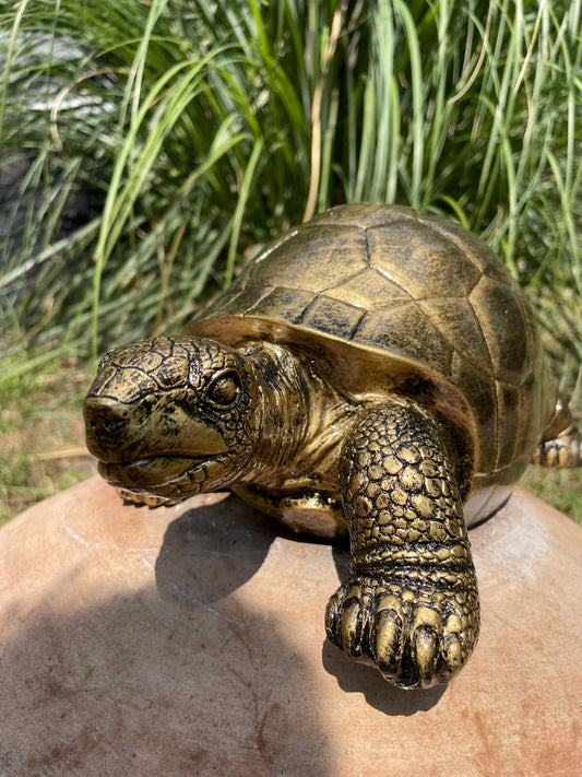 Beeld schildpad goud, gazon, tuin, vijver, 35 cm