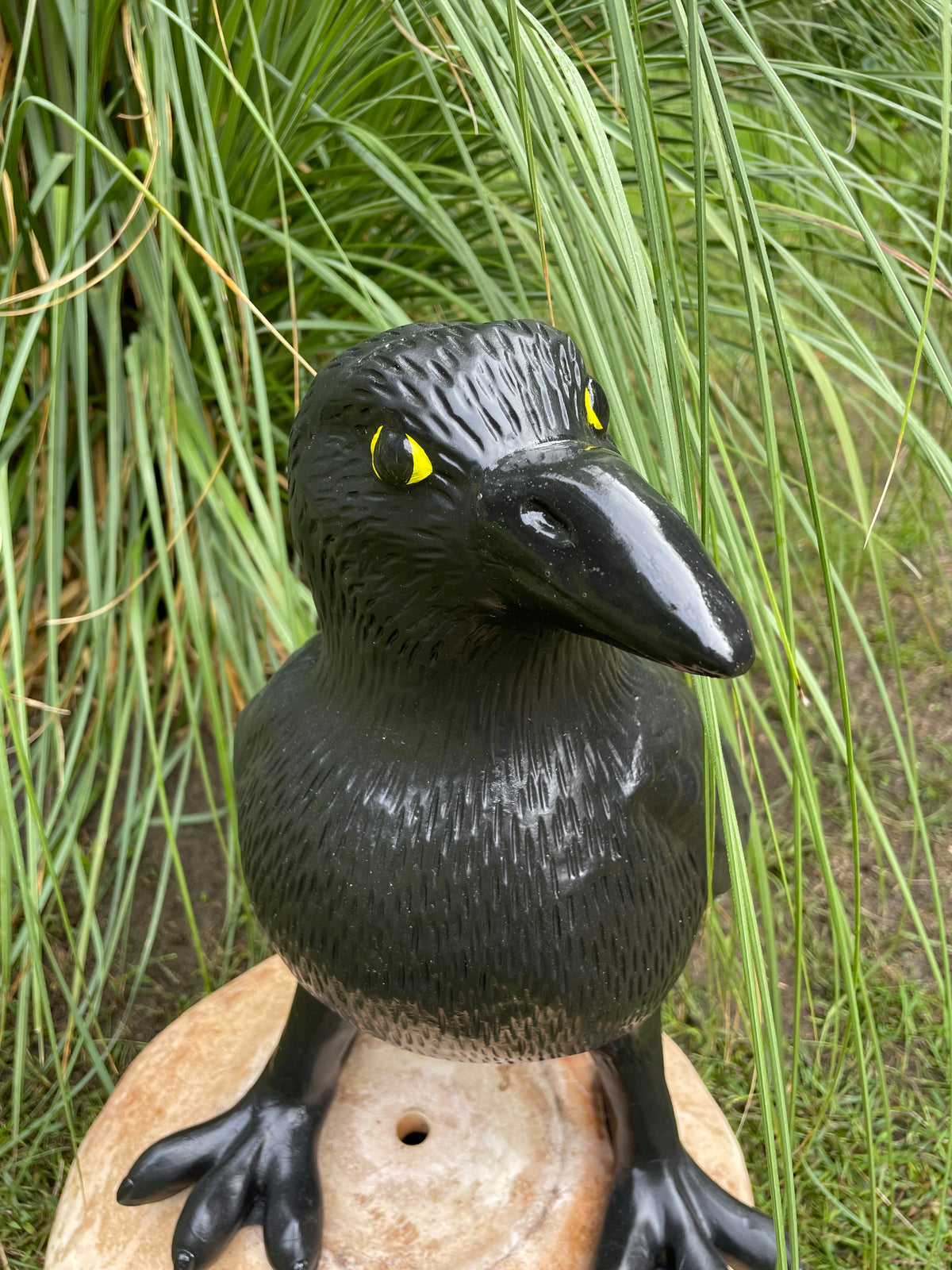 Kraai, Raaf, gazon, tuin, boerderij 45cm