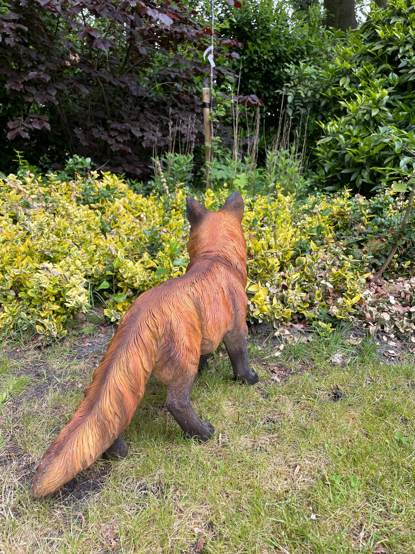 Tuinbeeld vos lopend gazon, tuin, dierentuin, 70 cm
