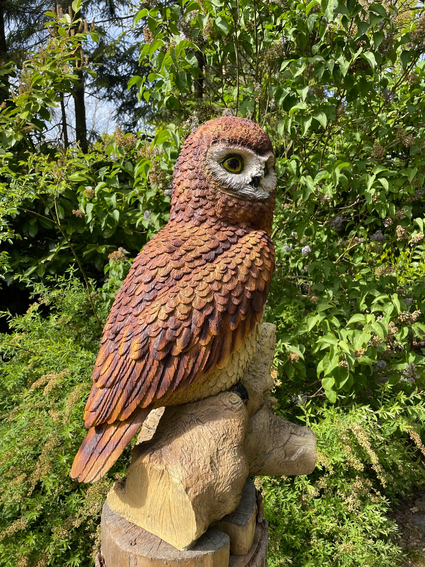 Beeld Bruine uil, boomstronk, tuin, gazon, dierentuin 80cm