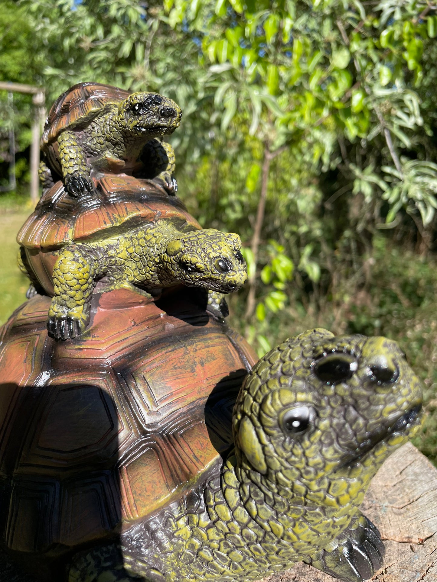Baby 2x schildpad, gazon, tuin, vijver, 30 cm