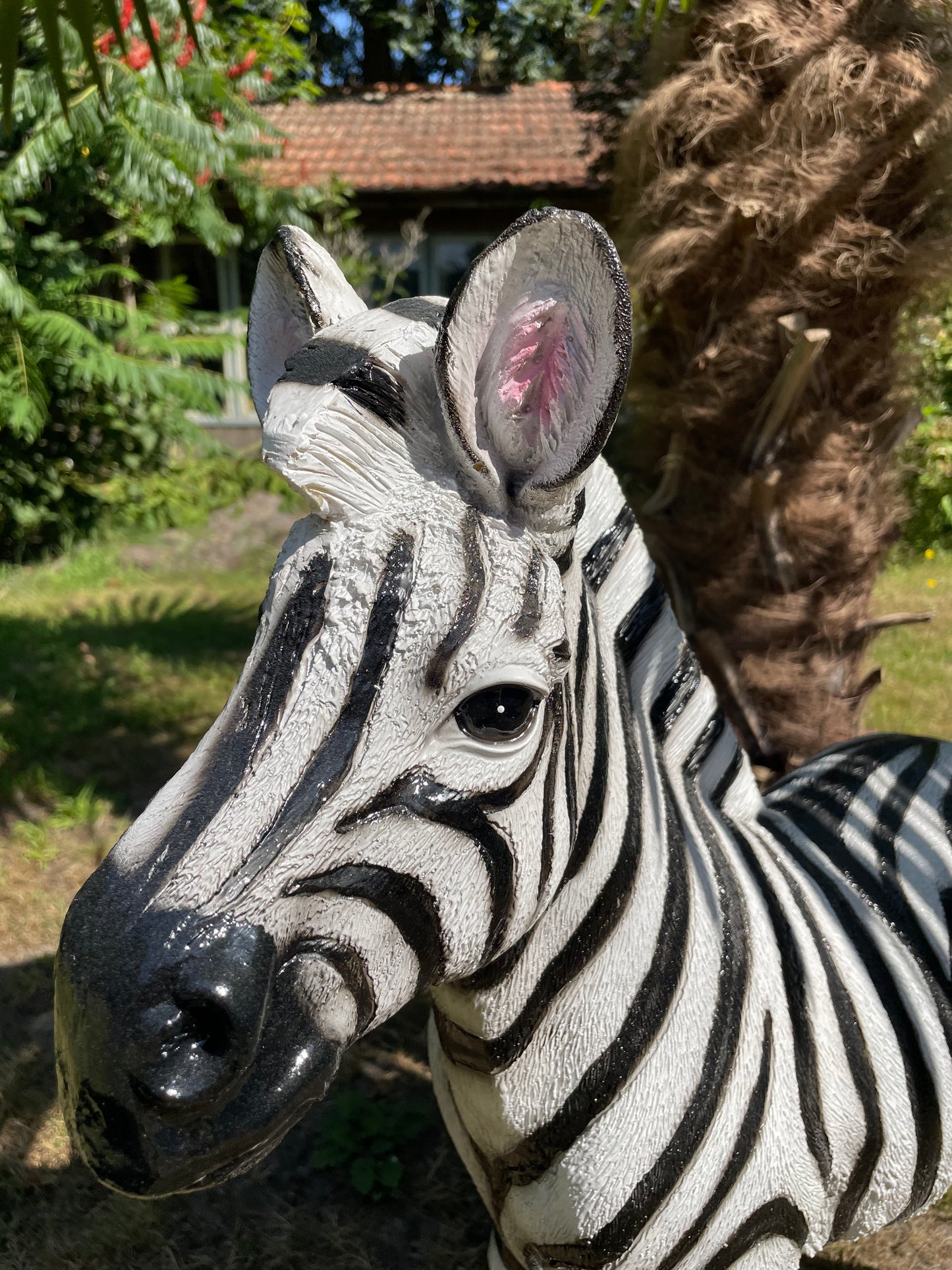 Beeld zebra, tuin, zwembad, vijver, woonkamer 70cm