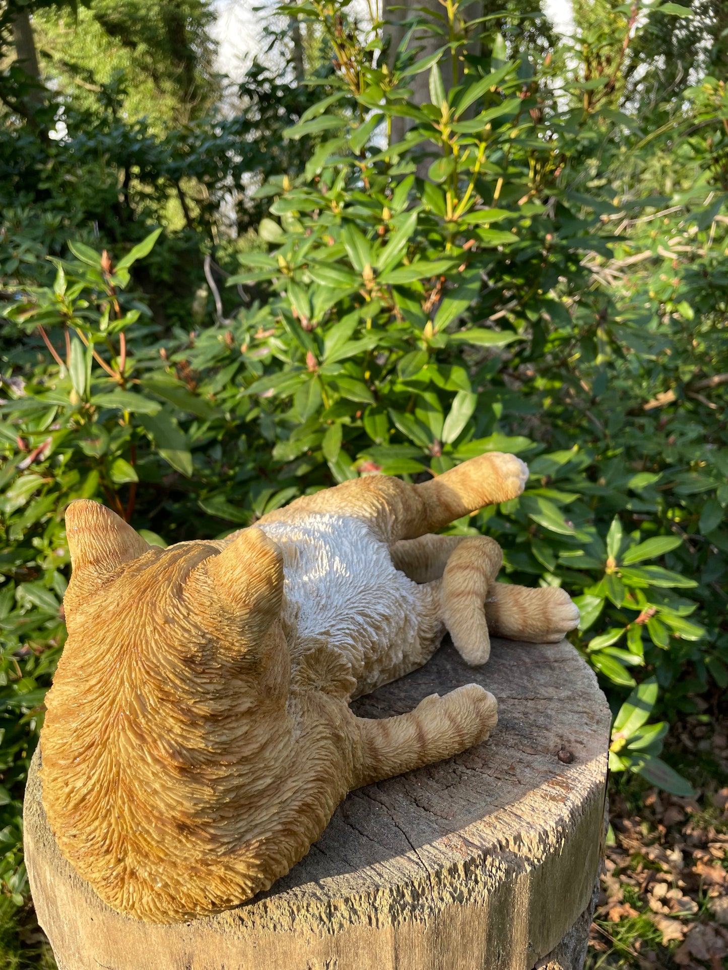Poes, kat, liggend bruin 40cm