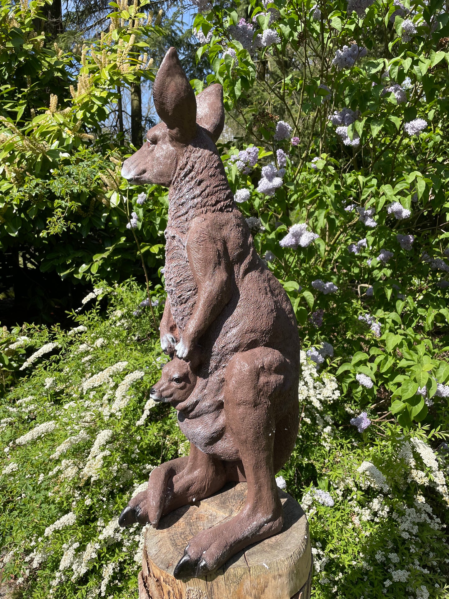 Beeld Kangoeroe klein tuin, vijver, boerderij, dierentuin 55cm