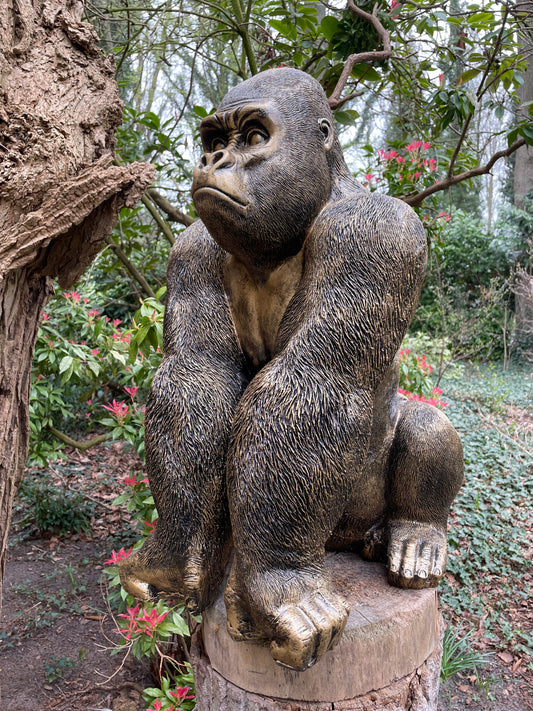 (Tuin)Beeld aap, gorilla, tuin, zwembad, vijver 70cm