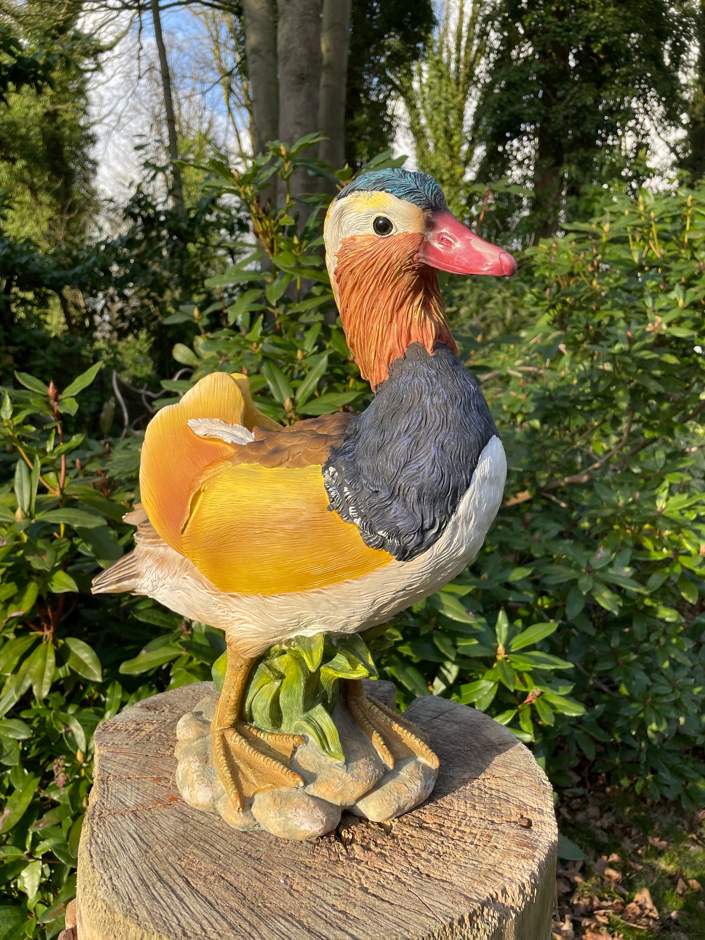 Mandarijn eend tuin, vijver, gazon, boerderij 40cm
