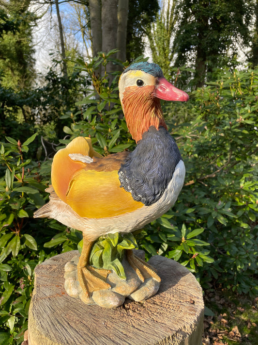 Mandarijn eend tuin, vijver, gazon, boerderij 40cm