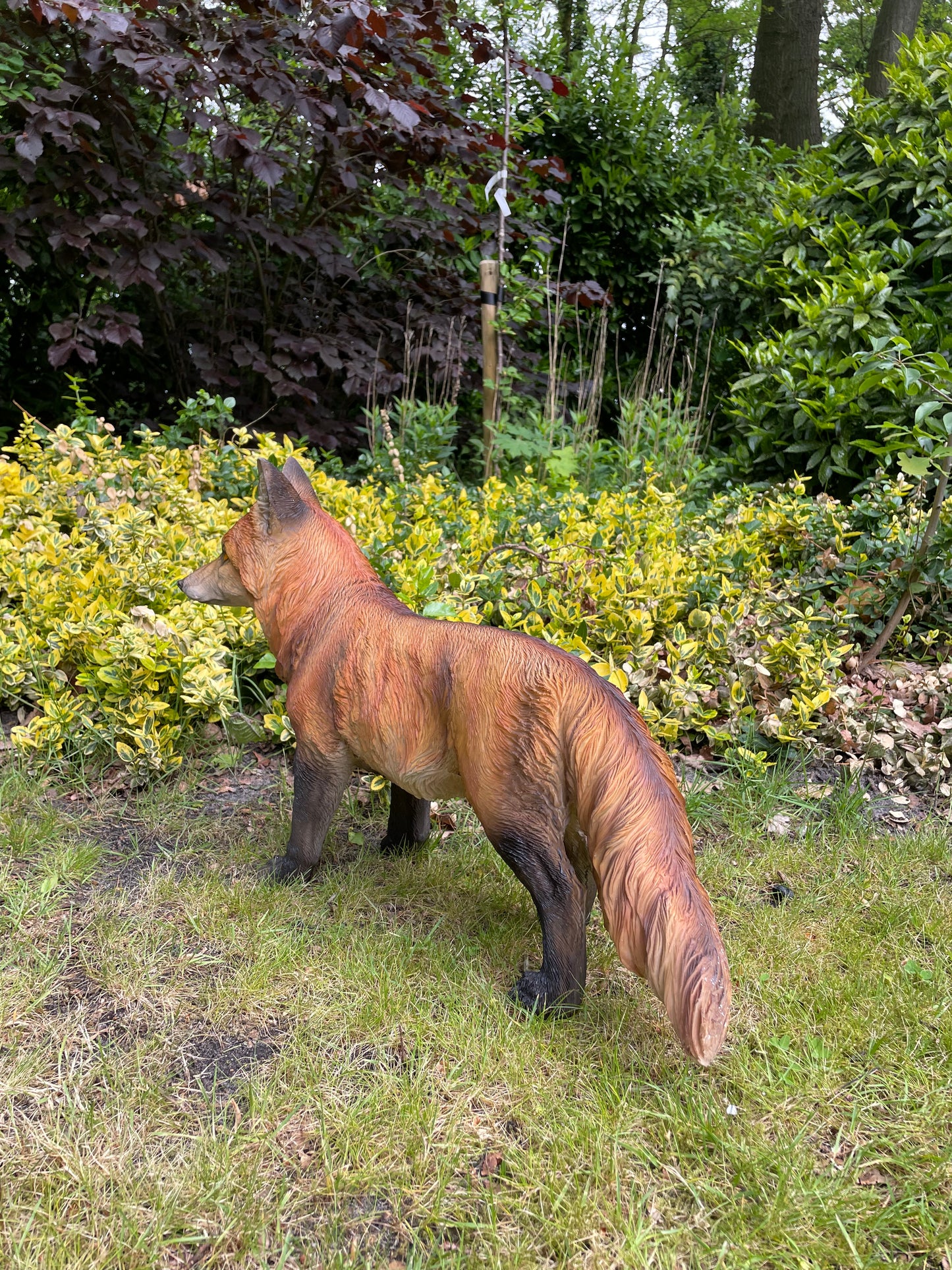 Tuinbeeld vos lopend gazon, tuin, dierentuin, 70 cm