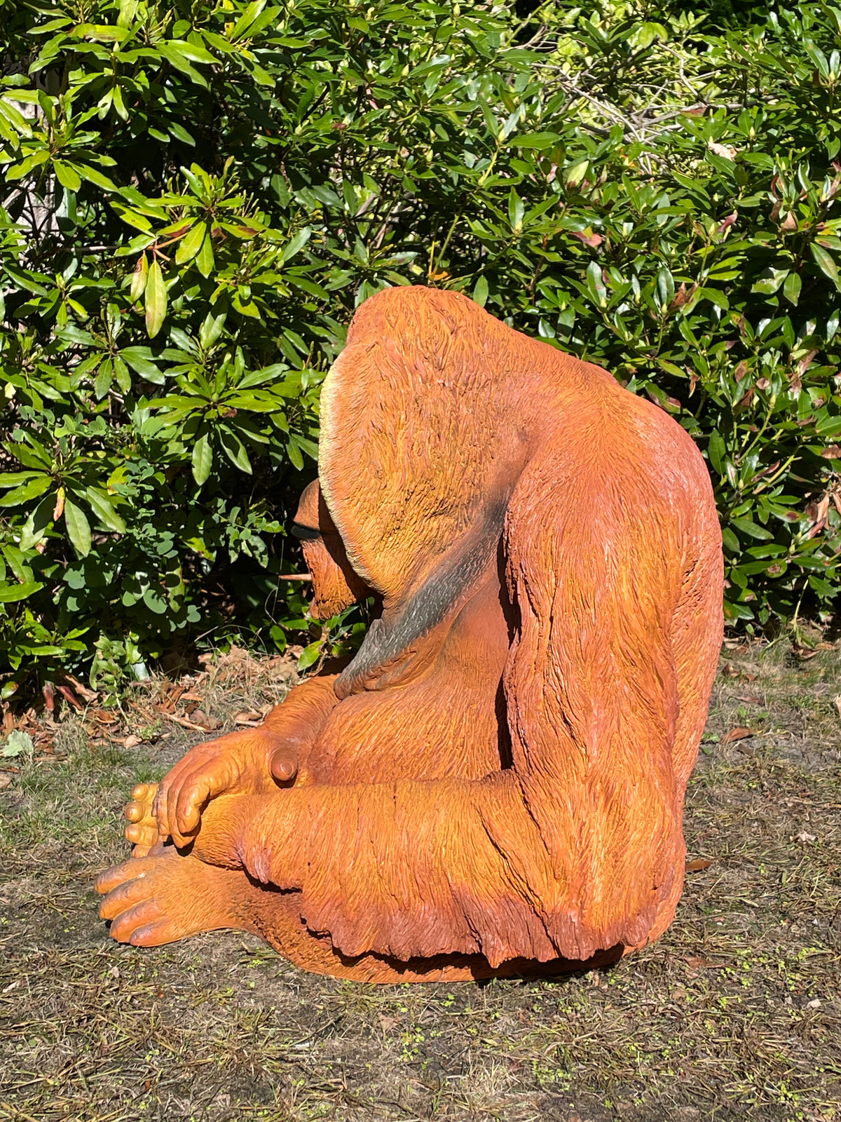 Orang Oetan  tuin, zwembad, vijver 80cm