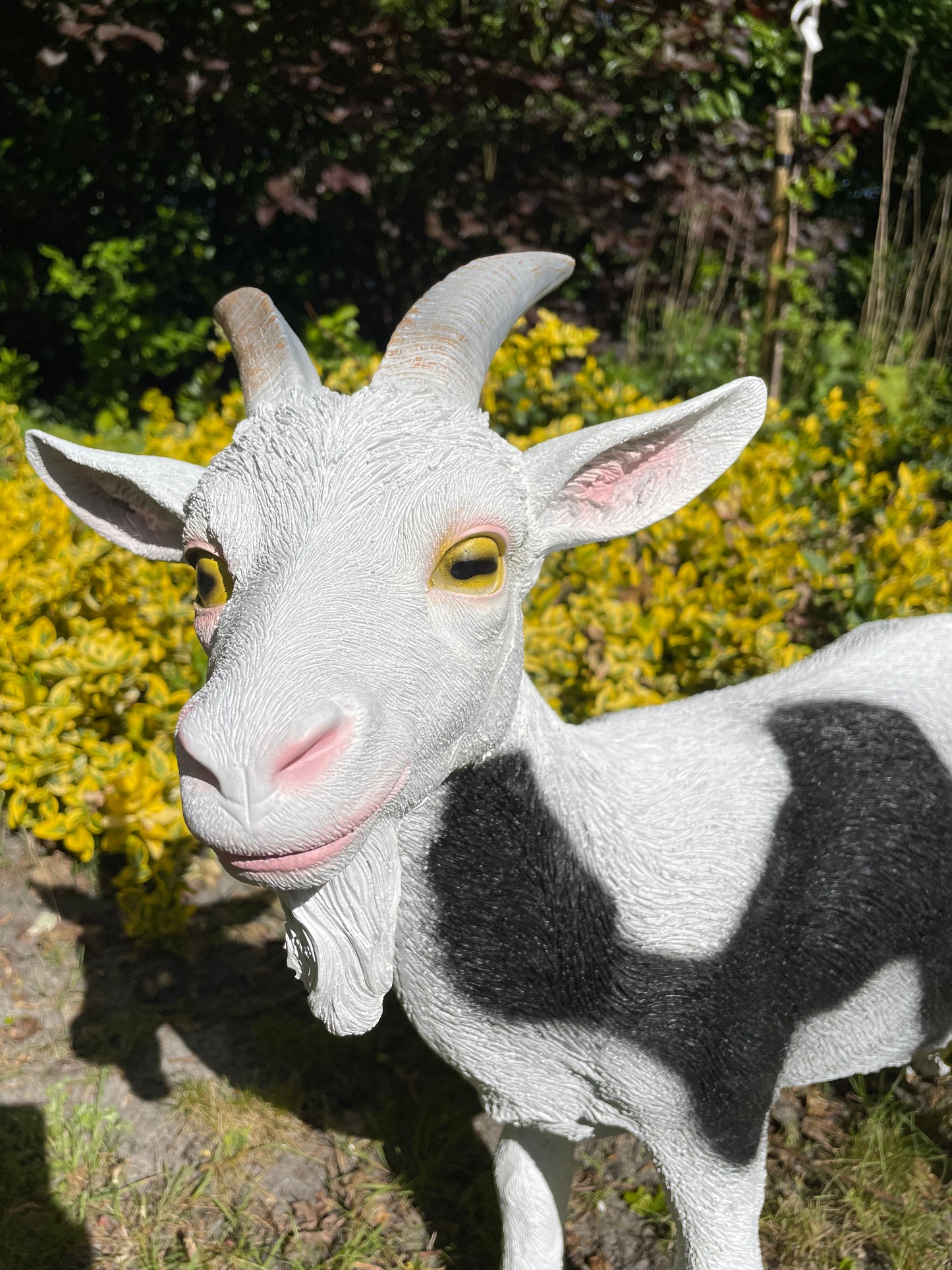 Beeld Bok Geit witte sik tuin, gazon, boerderij 60cm