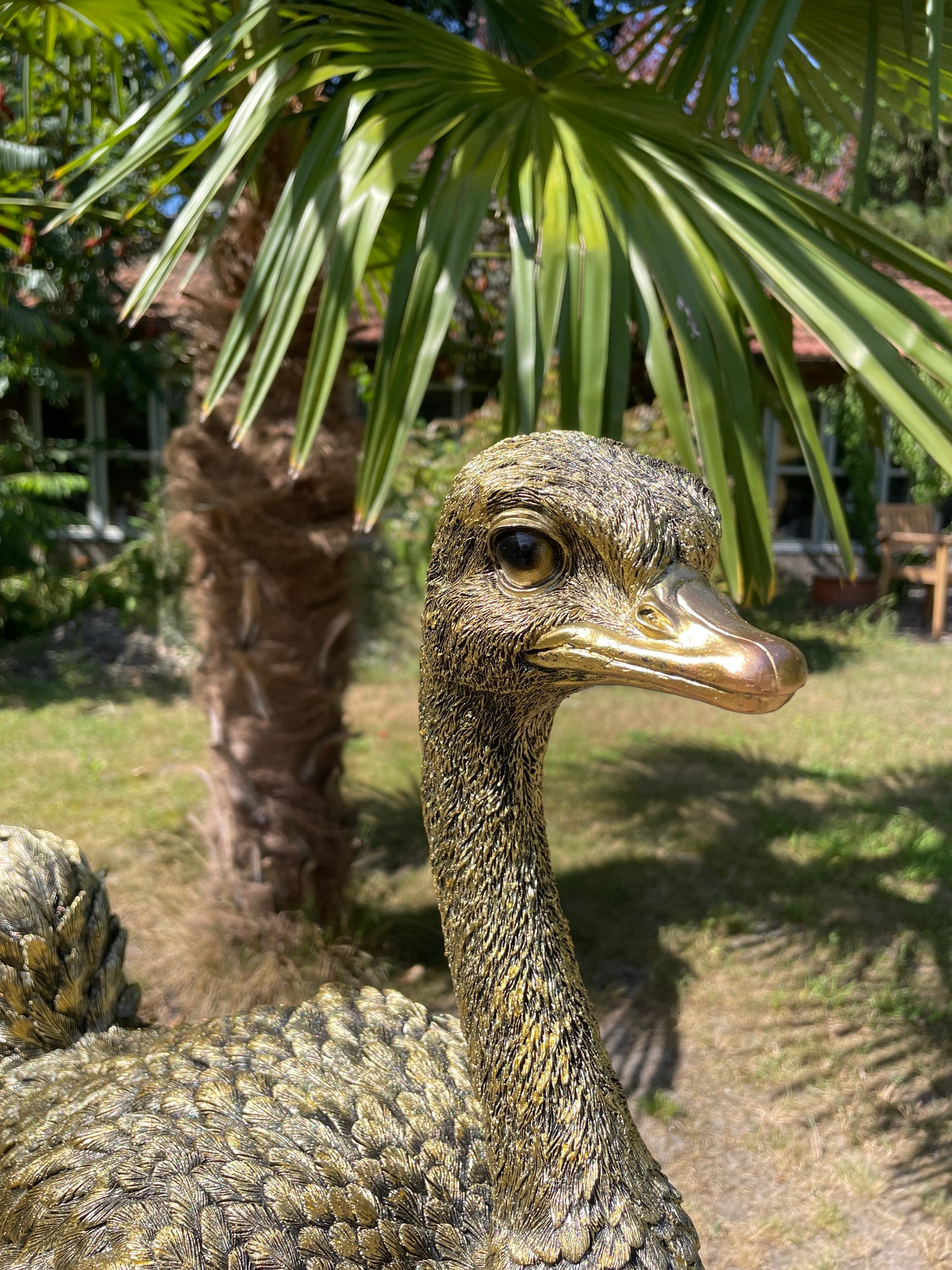 Beeld Struisvogel middel, gazon, tuin, dierentuin 70cm