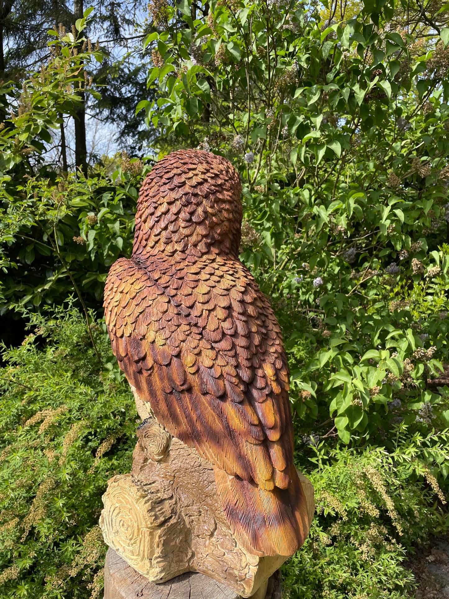 Beeld Bruine uil, boomstronk, tuin, gazon, dierentuin 80cm