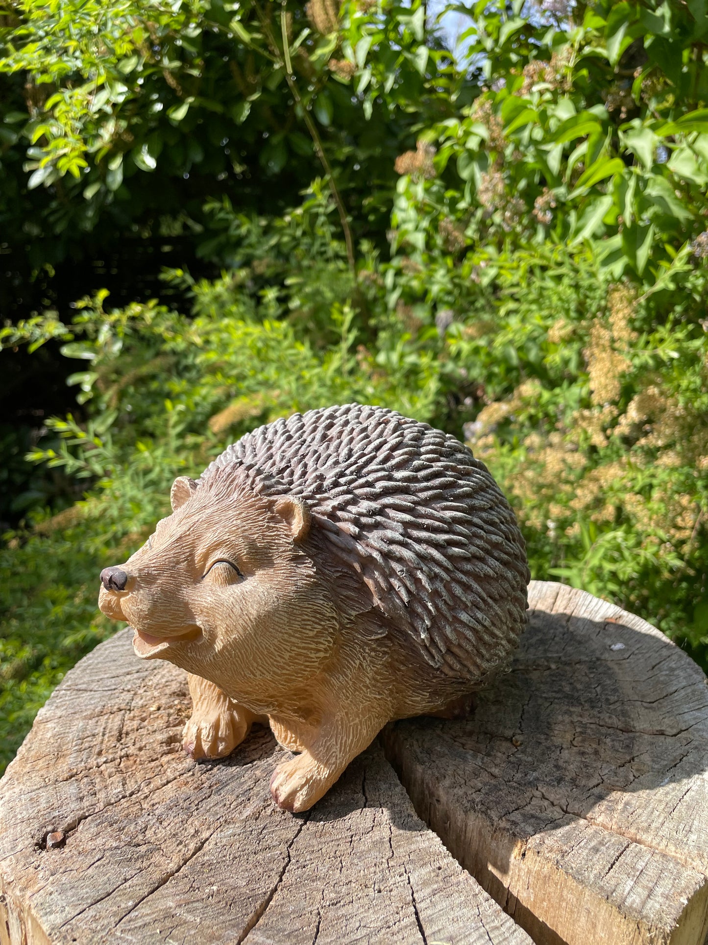 Beeld egel, tuin, gazon, boerderij 20cm