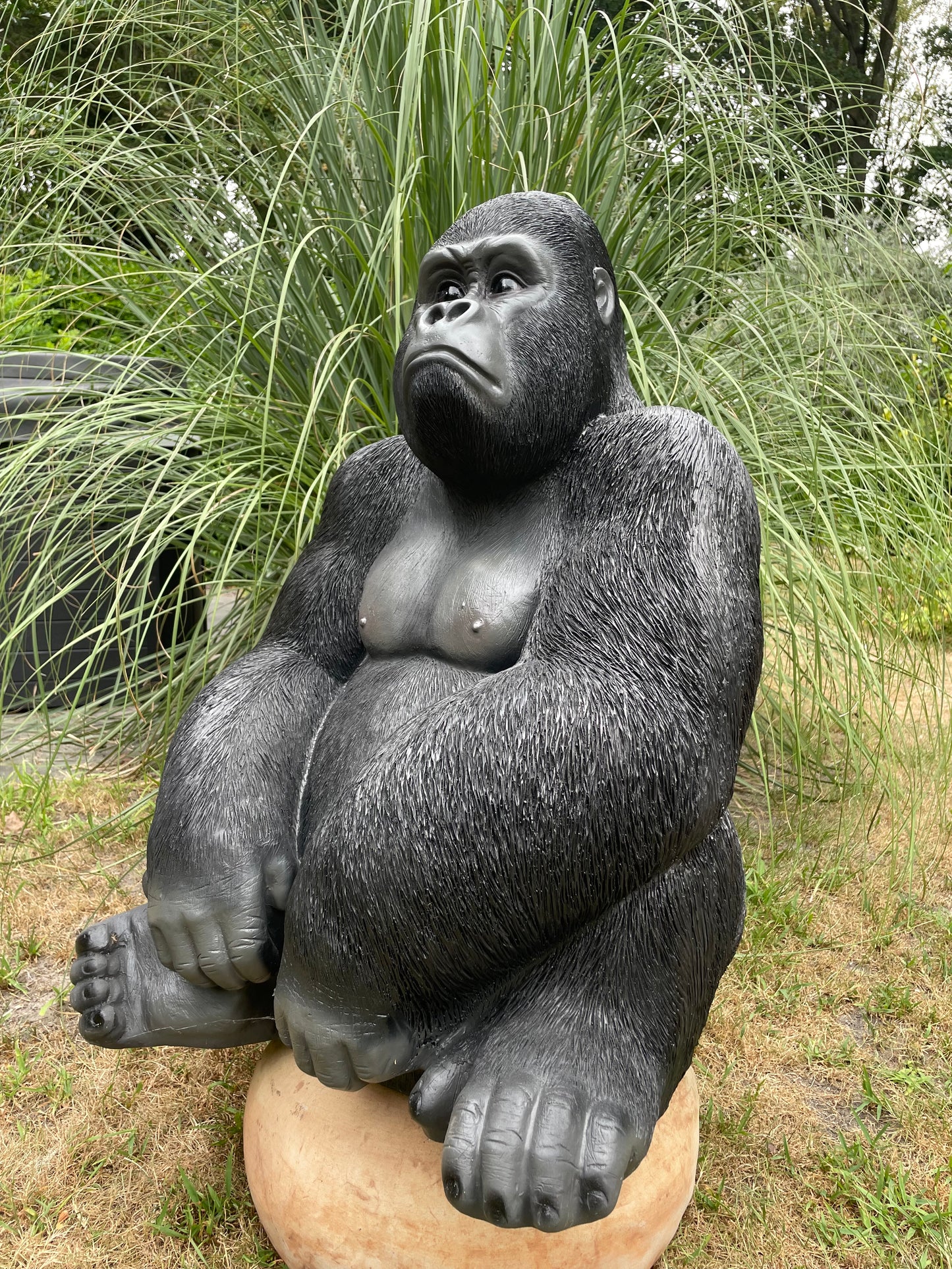 Beeld aap, gorilla, tuin, zwembad, vijver 80cm