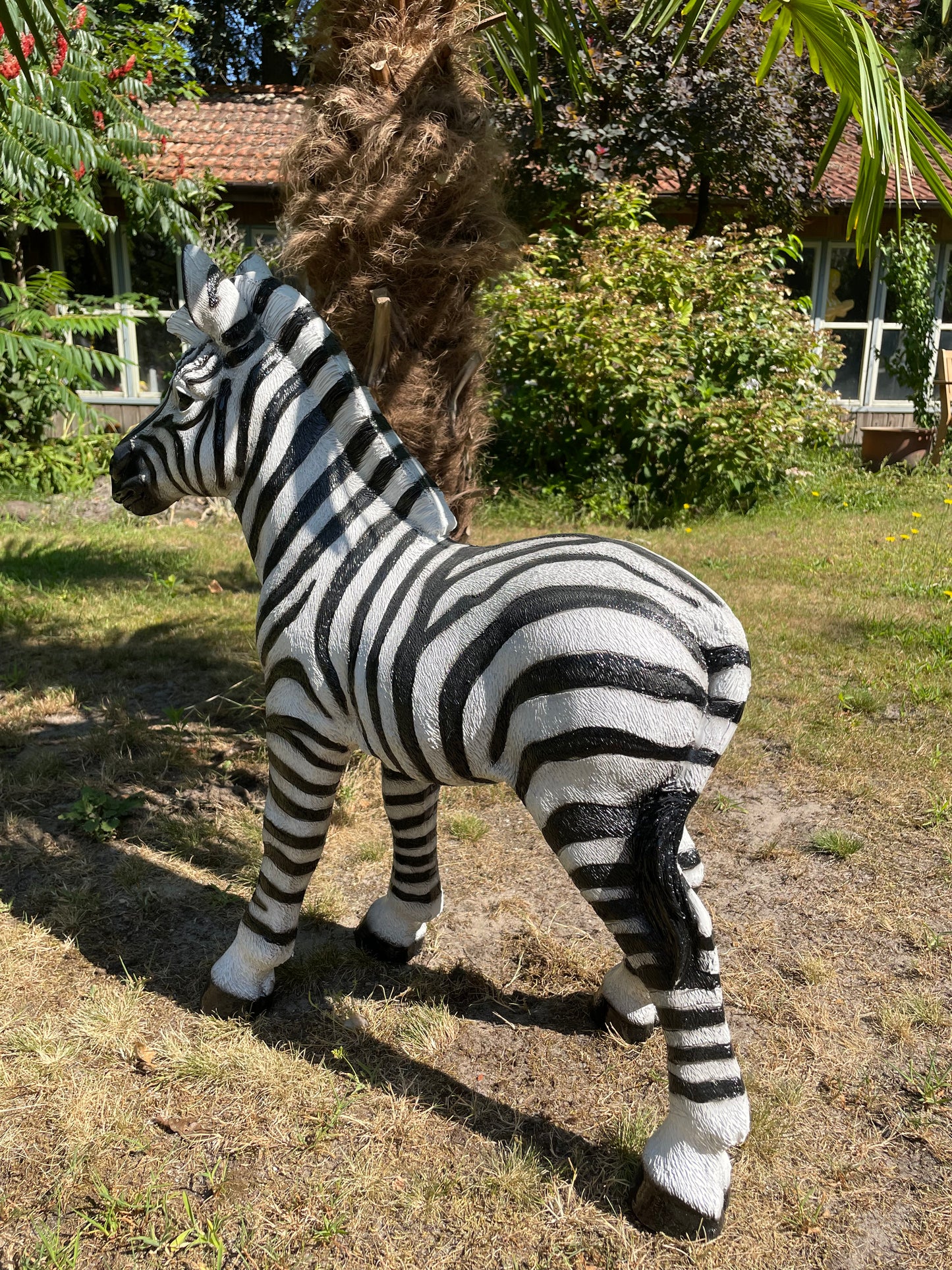 Beeld zebra, tuin, zwembad, vijver, woonkamer 70cm