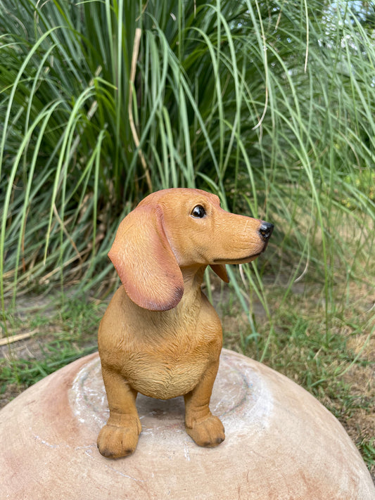 Beeld teckel, tekkel, zittend hond, tuin, gazon 30 cm