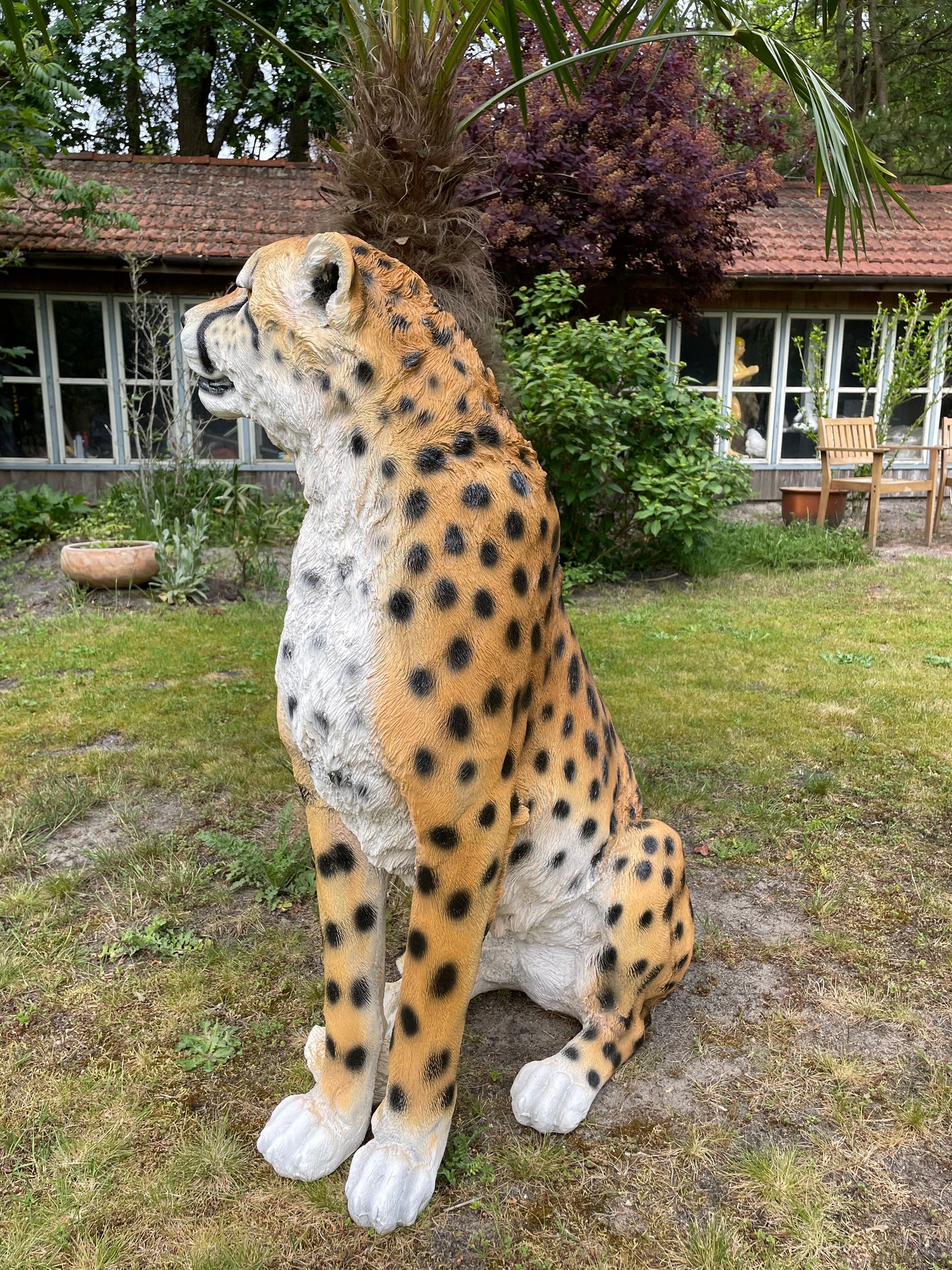 Tuinbeeld cheeta zittend gazon, tuin, dierentuin, 95 cm