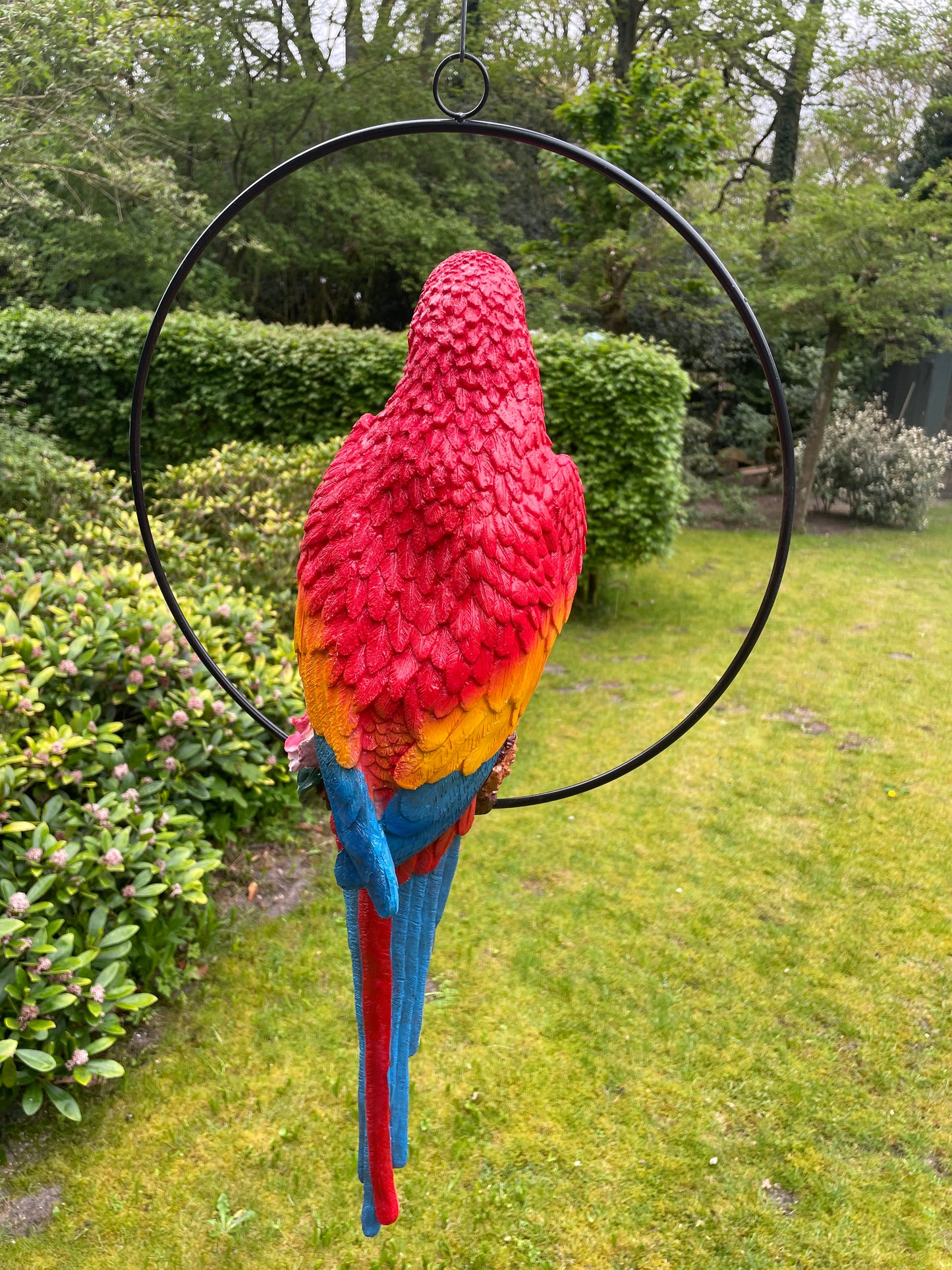 Beeld papegaai Rood tuin, zwembad, vijver, balkon 70cm