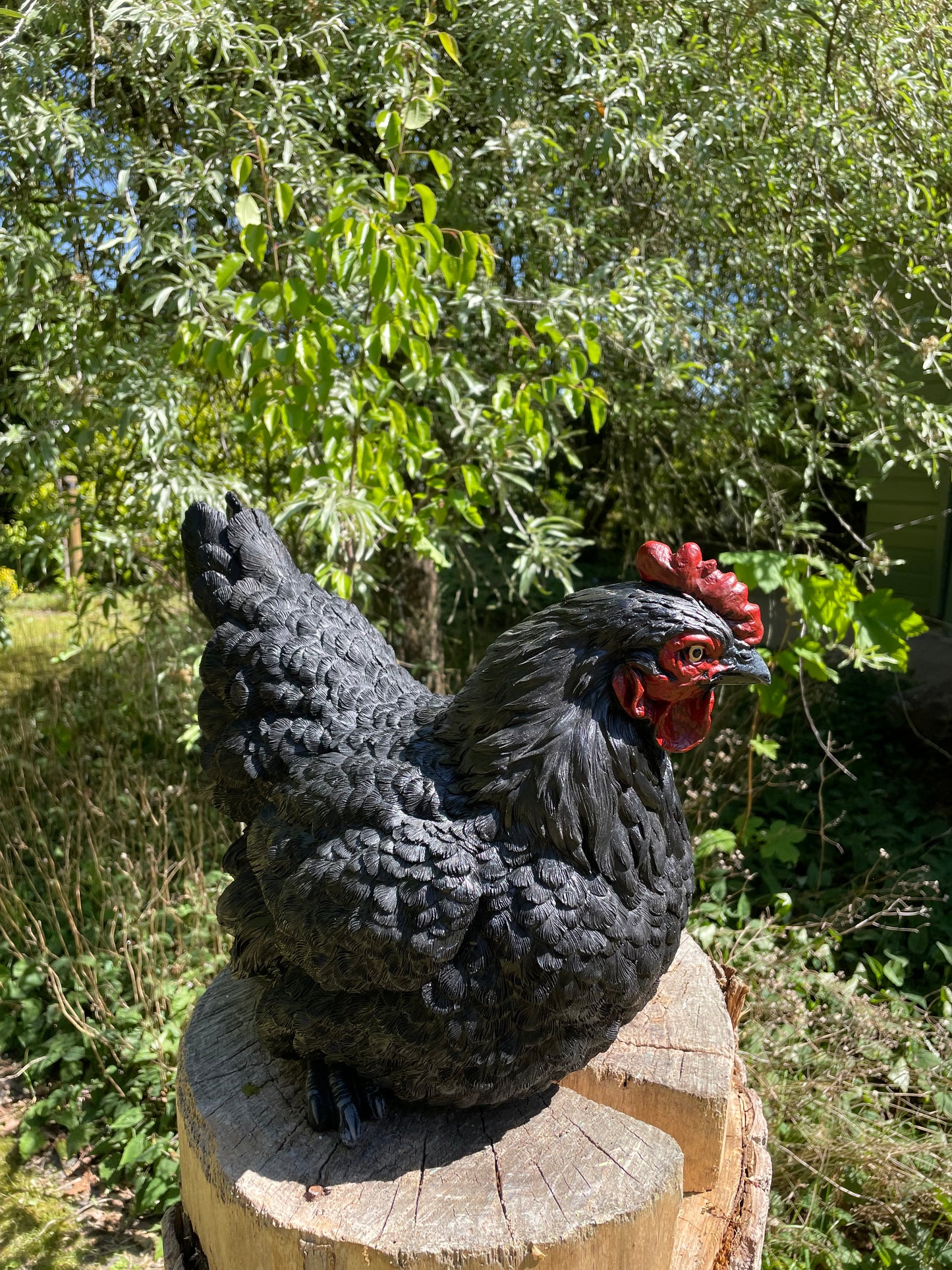 Beeld kip, zwart groot tuin, vijver, gazon, boerderij 40cm