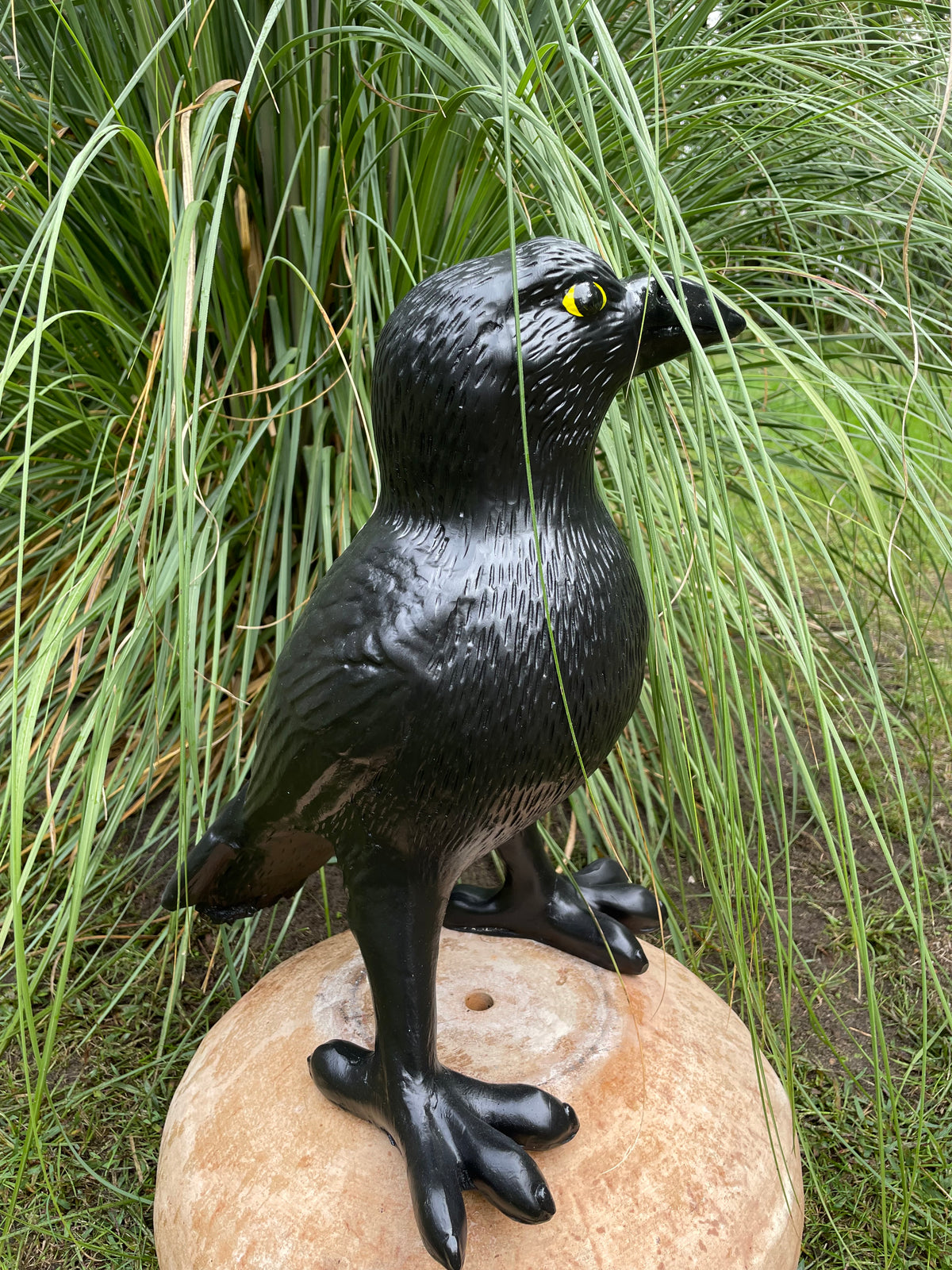 Kraai, Raaf, gazon, tuin, boerderij 45cm