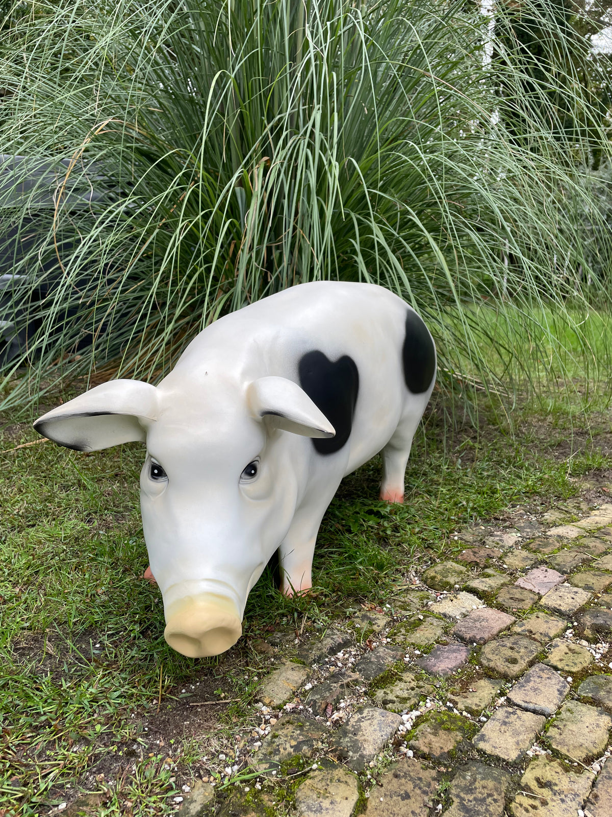 (Tuin)Beeld varken zw/w tuin, manege, boerderij 85cm