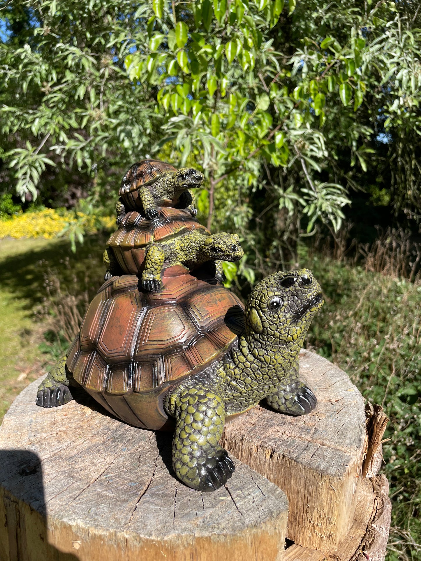 Baby 2x schildpad, gazon, tuin, vijver, 30 cm